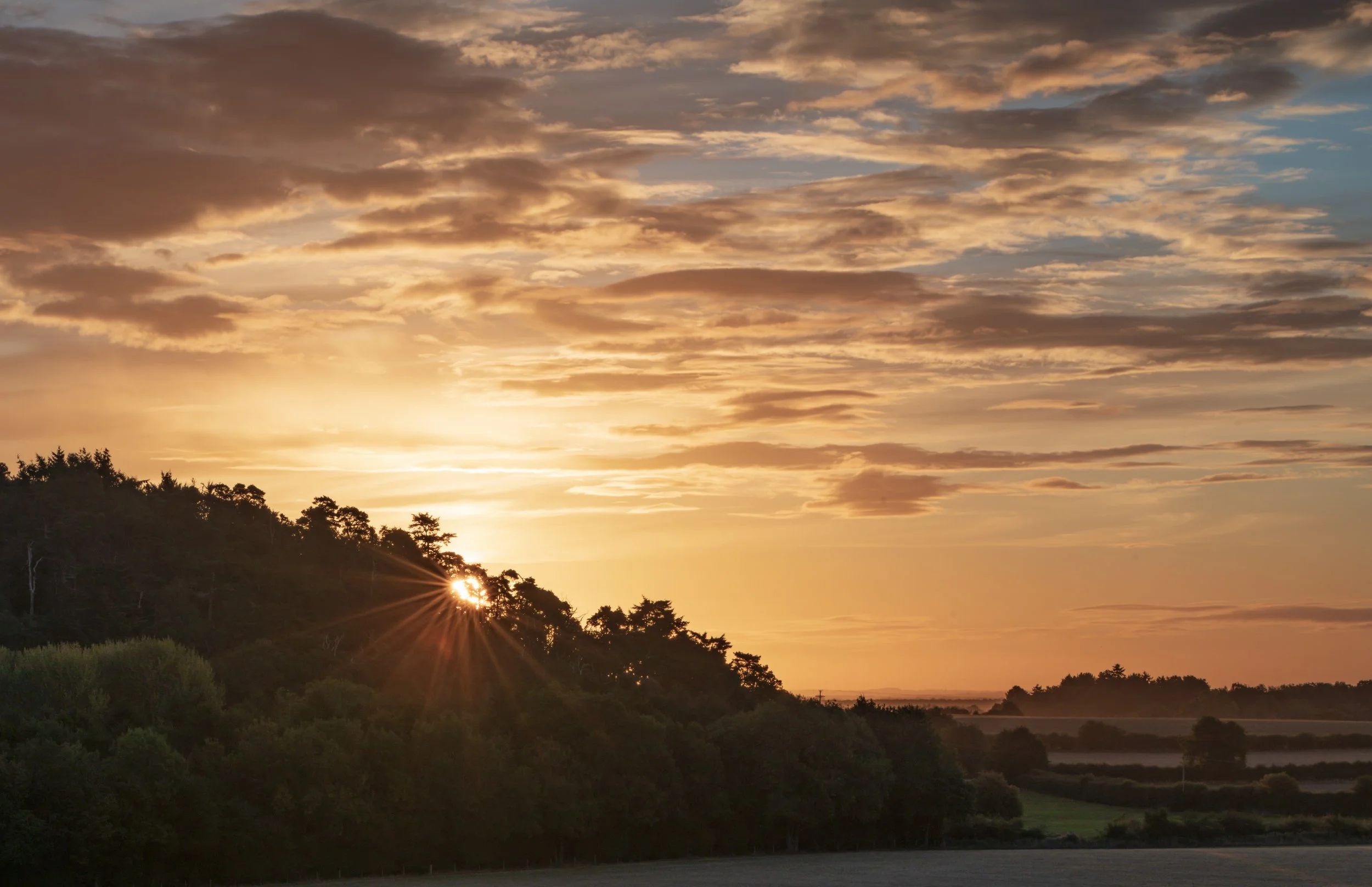 Sunrise over a forested landscape with clouds in the sky and fields in the distance.