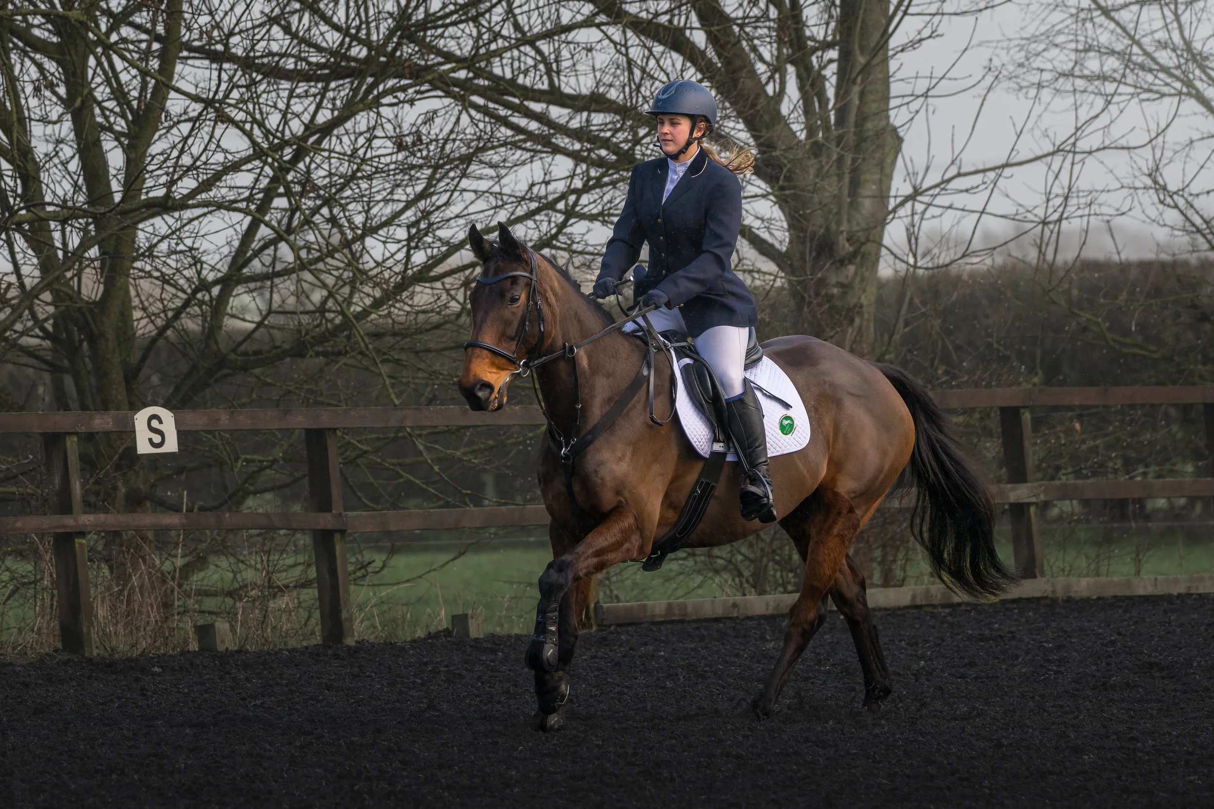 KLO_8513-DxO_DeepPRIME 3.jpg