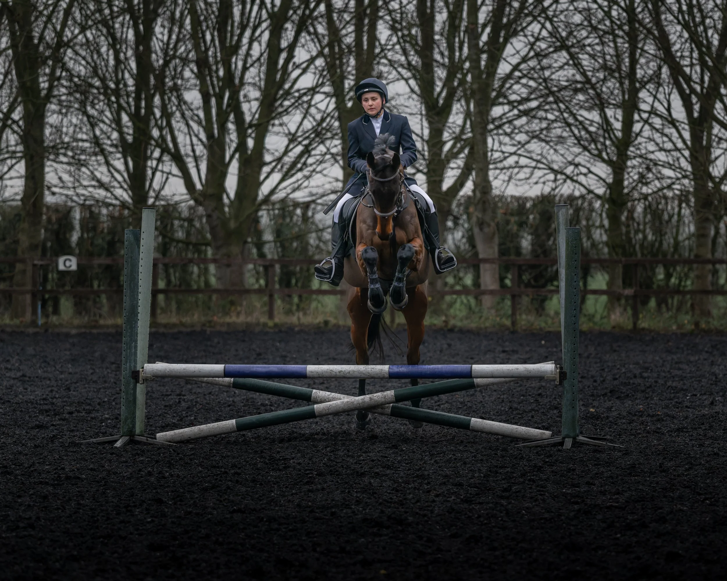 A female equestrian jumping over a hurdle on a brown horse in an outdoor riding arena with leafless trees in the background.