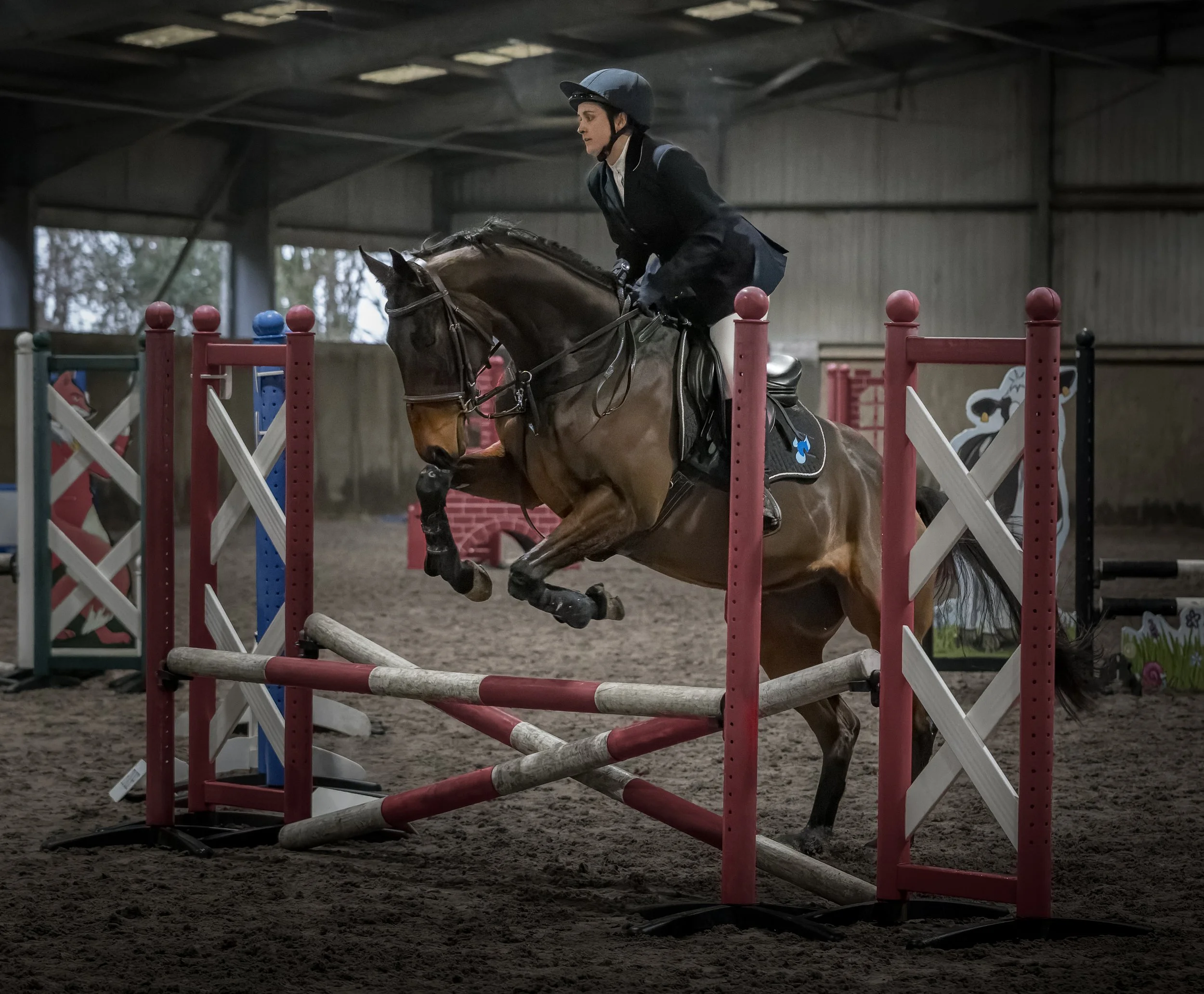 A person dressed in a black riding jacket and helmet is riding a horse and jumping over an obstacle in an indoor equestrian arena.