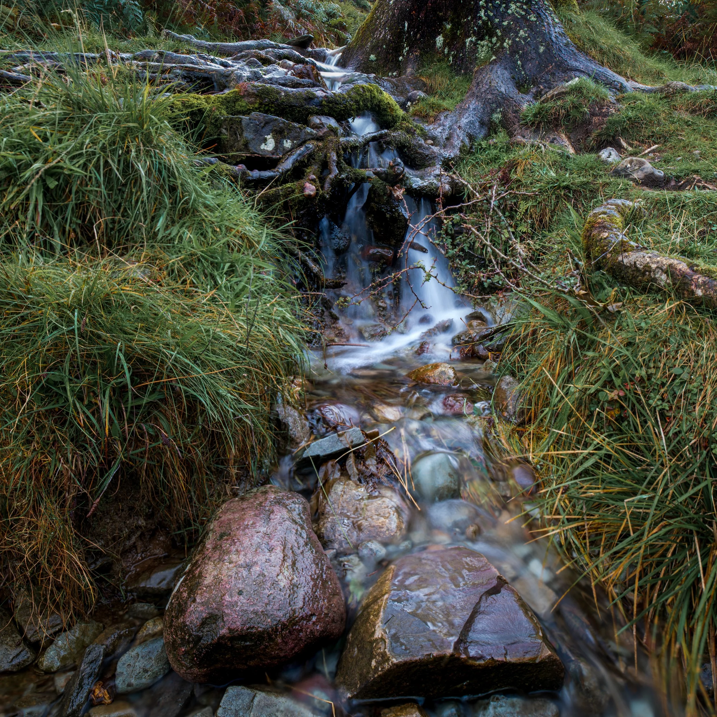 Small waterfall flowing over rocks surrounded by grass and moss in a forest setting.