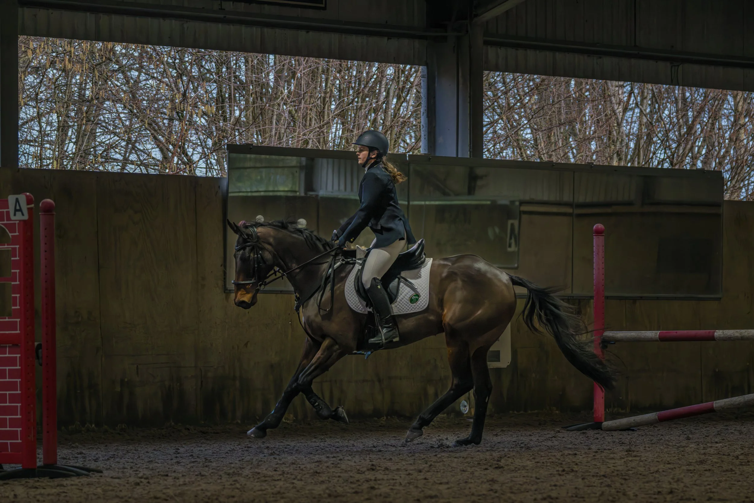 KLO_9239-DxO_DeepPRIME 3.jpg