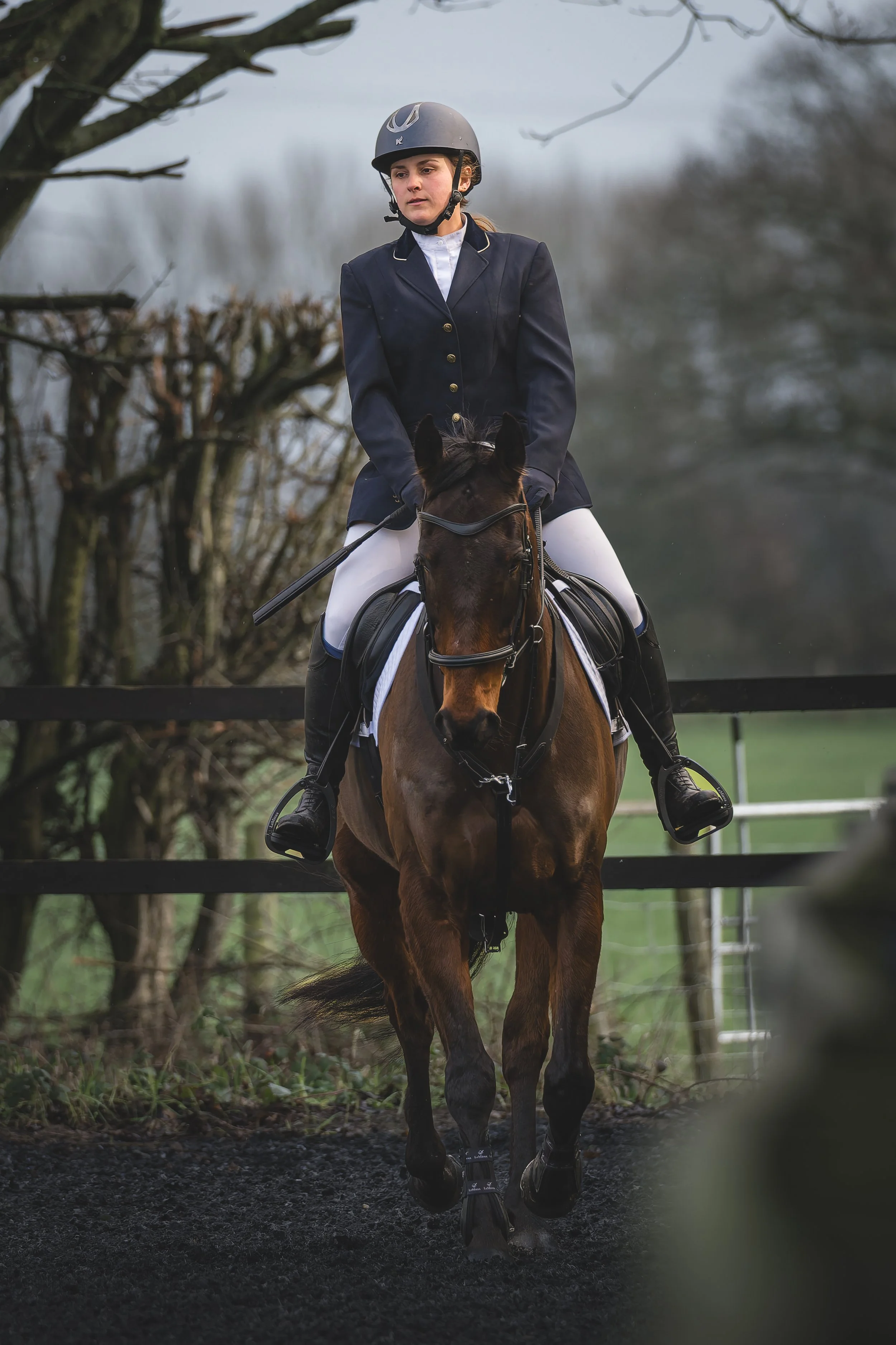 KLO_8457-DxO_DeepPRIME 3.jpg