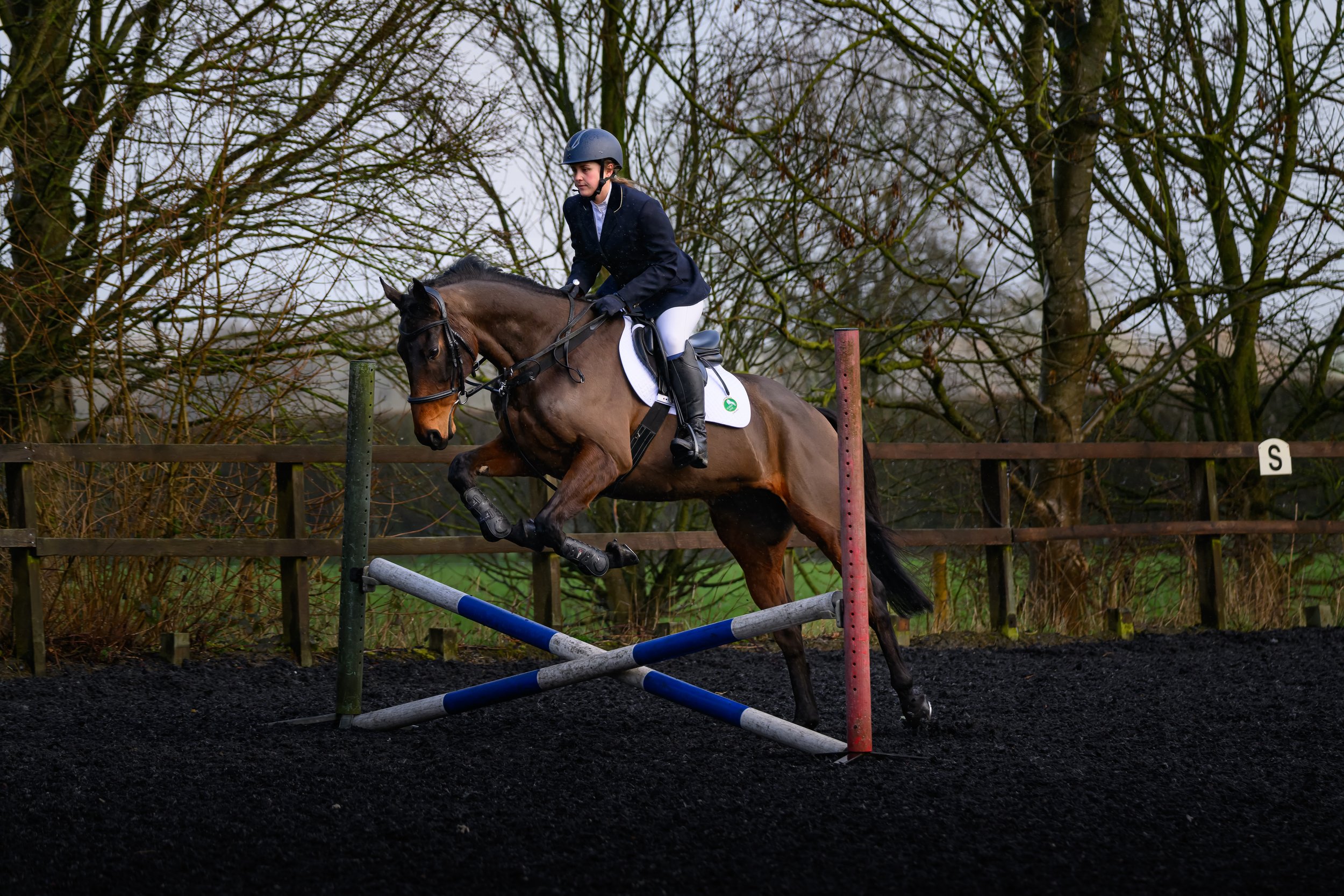 KLO_8508-DxO_DeepPRIME 3.jpg