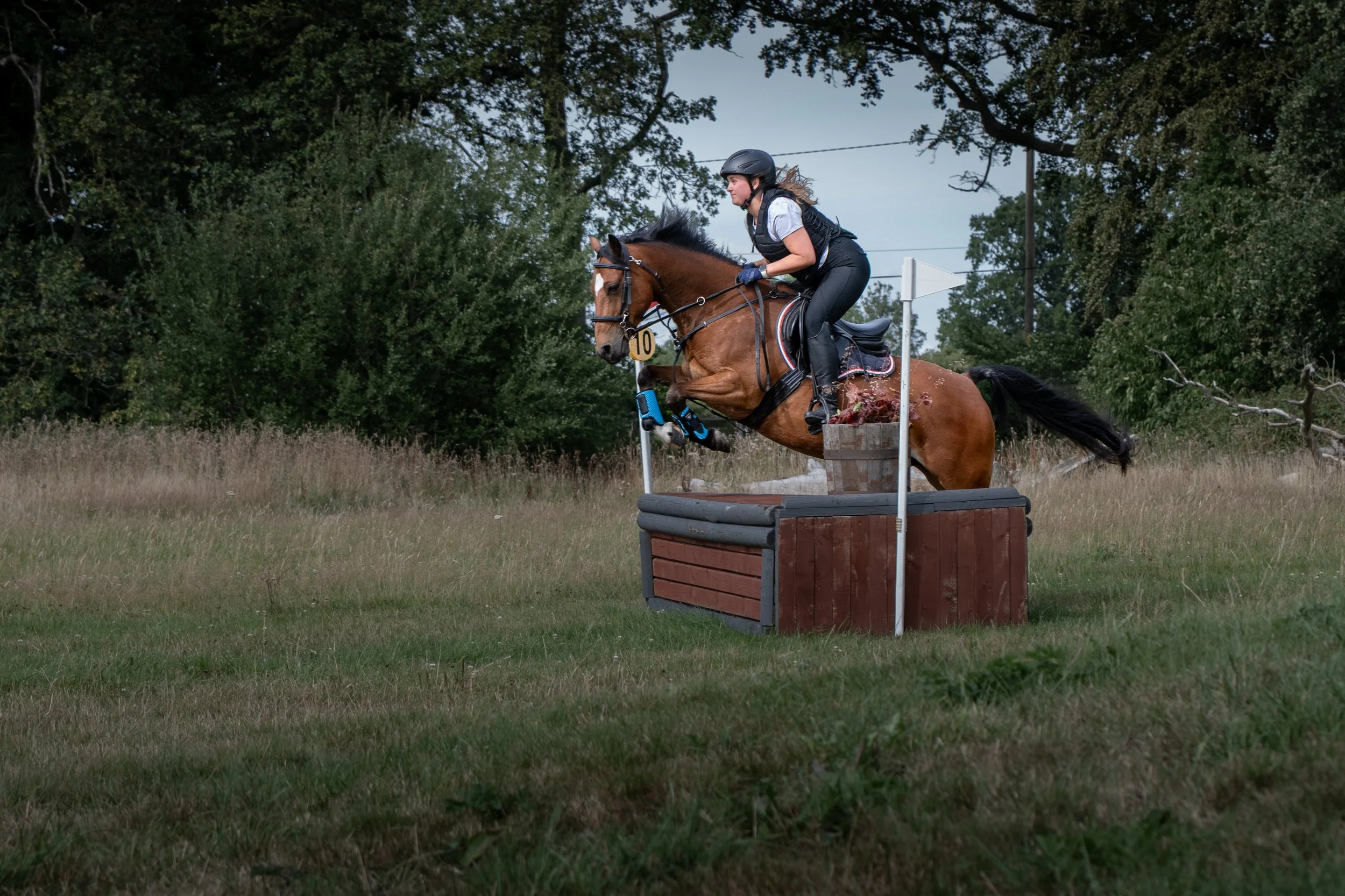 A female equestrian rider on a brown horse jumping over an obstacle during an outdoor event.