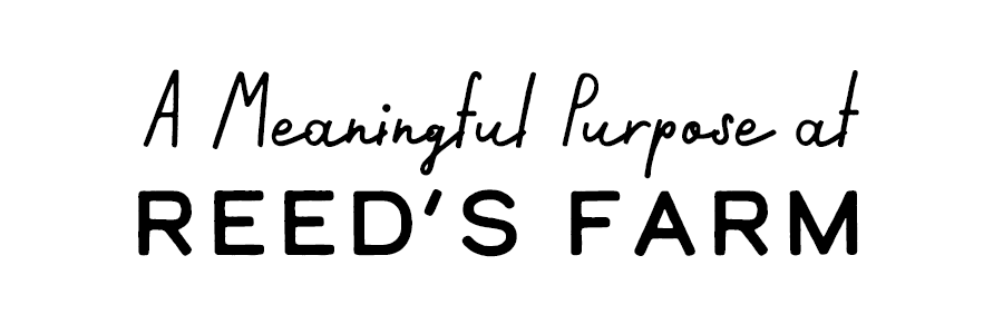 Text reading 'A Meaningful Purpose at REED'S FARM' in black cursive and bold font on a white background.