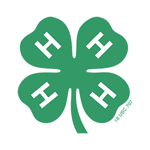 Four-leaf clover with white H symbols on each leaf, green stem and leaf stalks.