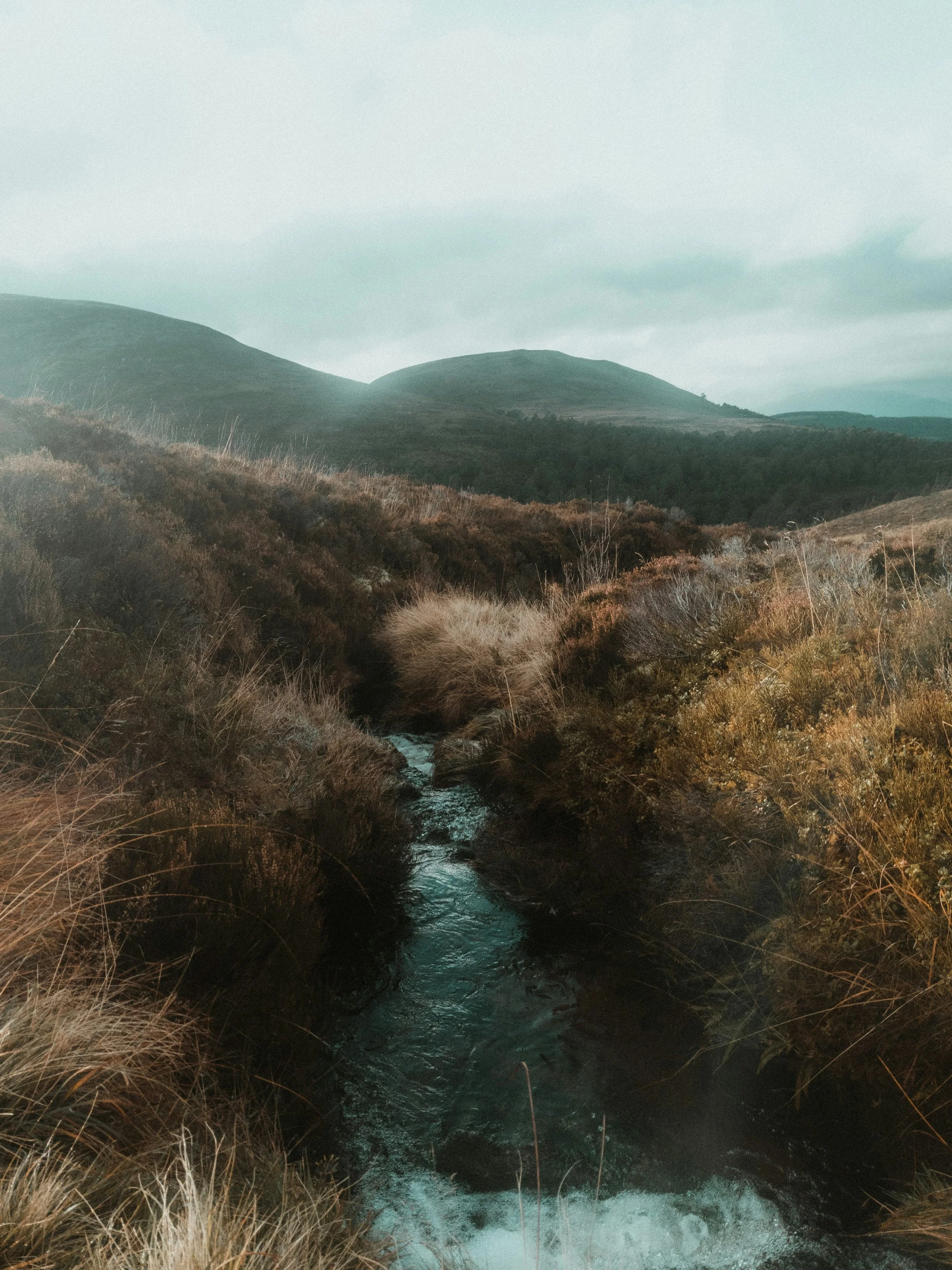 New Experiences Coming Soon