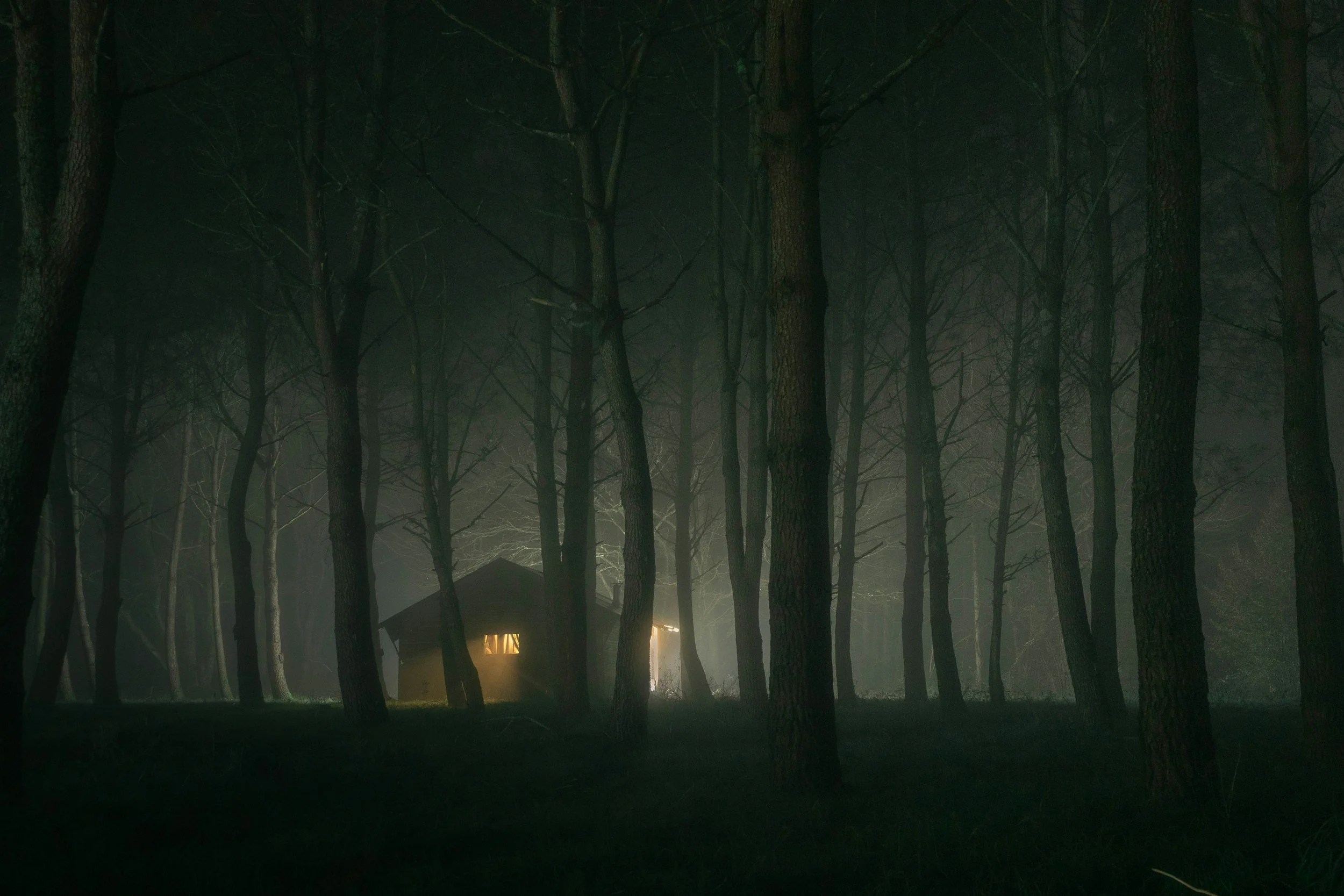 A dark, foggy forest with tall, leafless trees and a small house with a lit window in the distance.