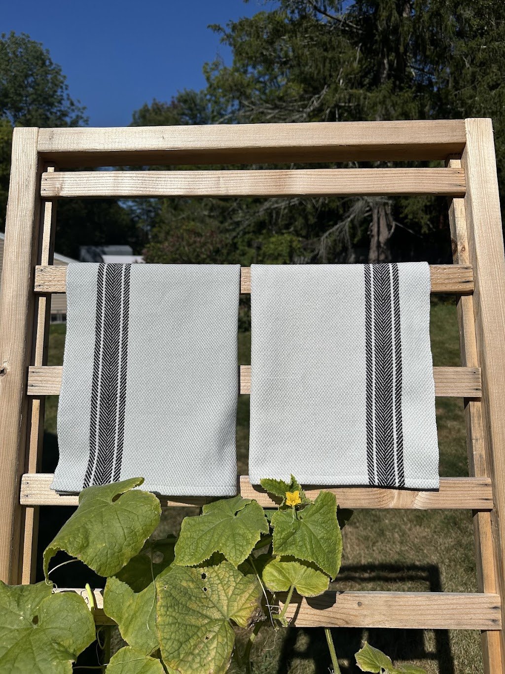 Two white dish towels with black stripes hanging on a wooden drying rack outdoors, with green leaves and a yellow flower in the foreground, and trees and blue sky in the background.