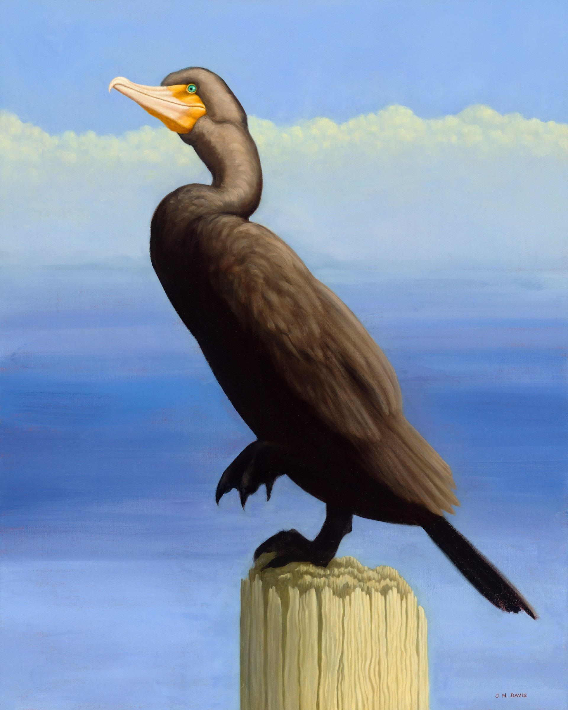 Cormerant at Lk D'Arbonne / oil on canvas / 24"x30" - inquire