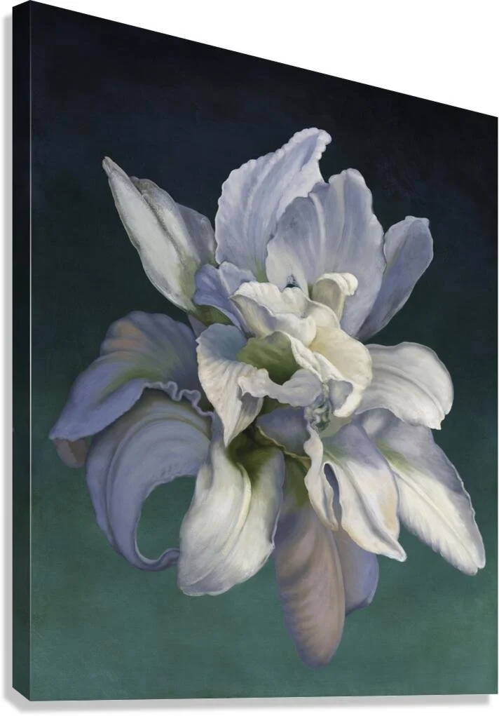 DBLlily_canvas.jpg