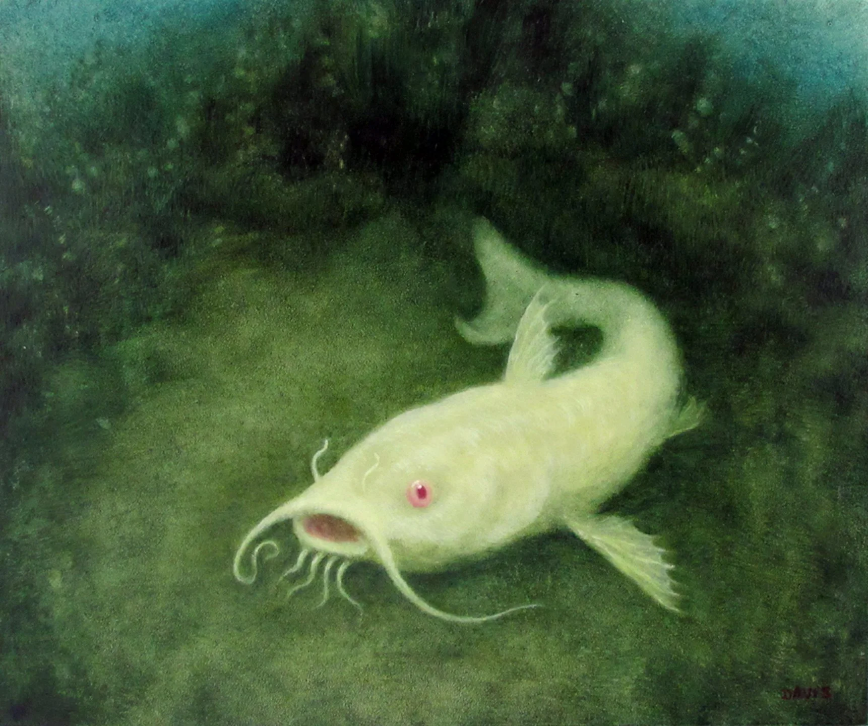 AlbinoCatfish.jpg