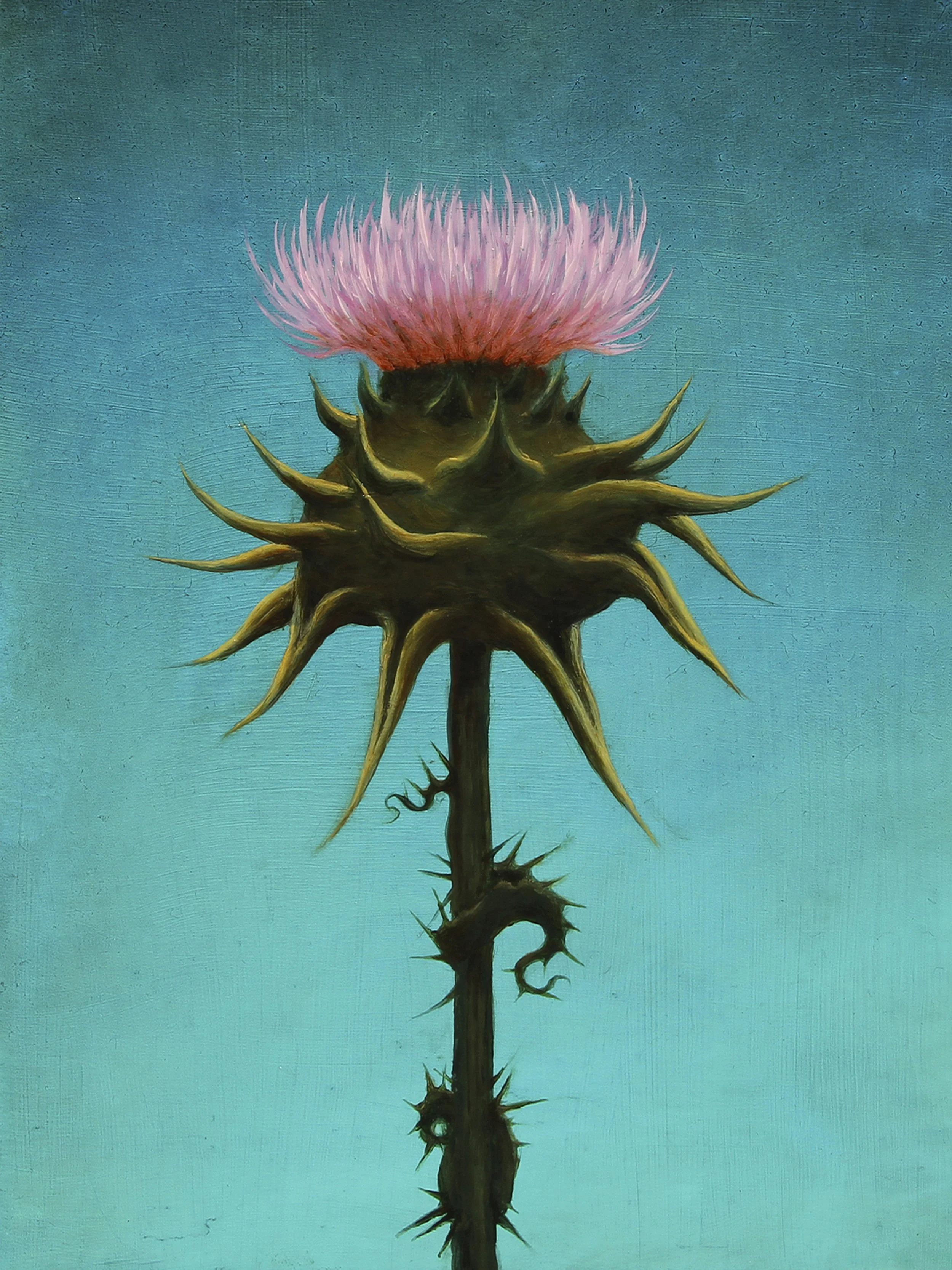 Thistle / oil on canvas / 8"x10" - SOLD