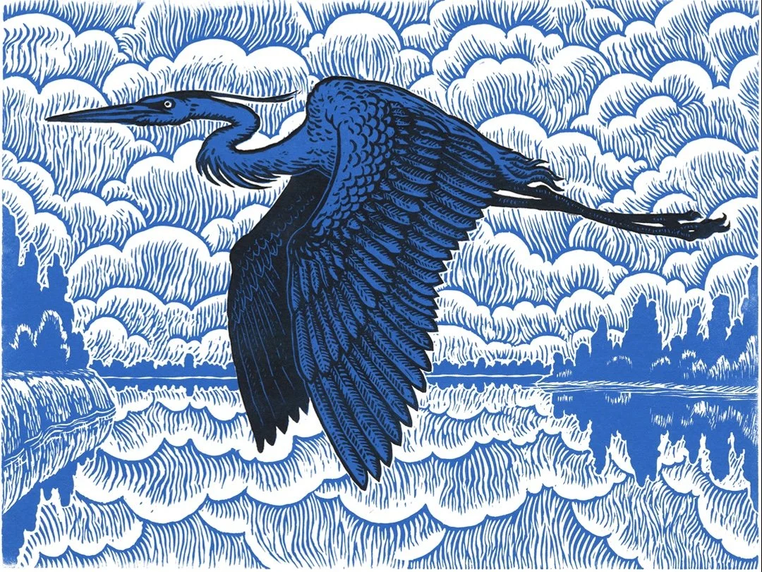 Blue Heron / linocut Edition of 50 / 9"x12" - inquire