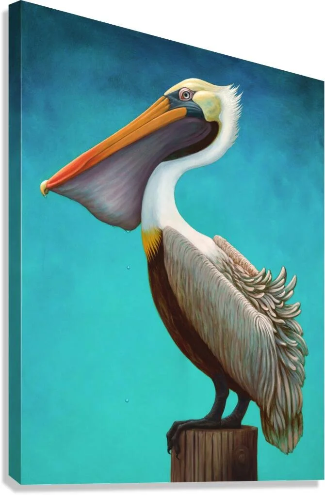 pelican_canvas.jpg