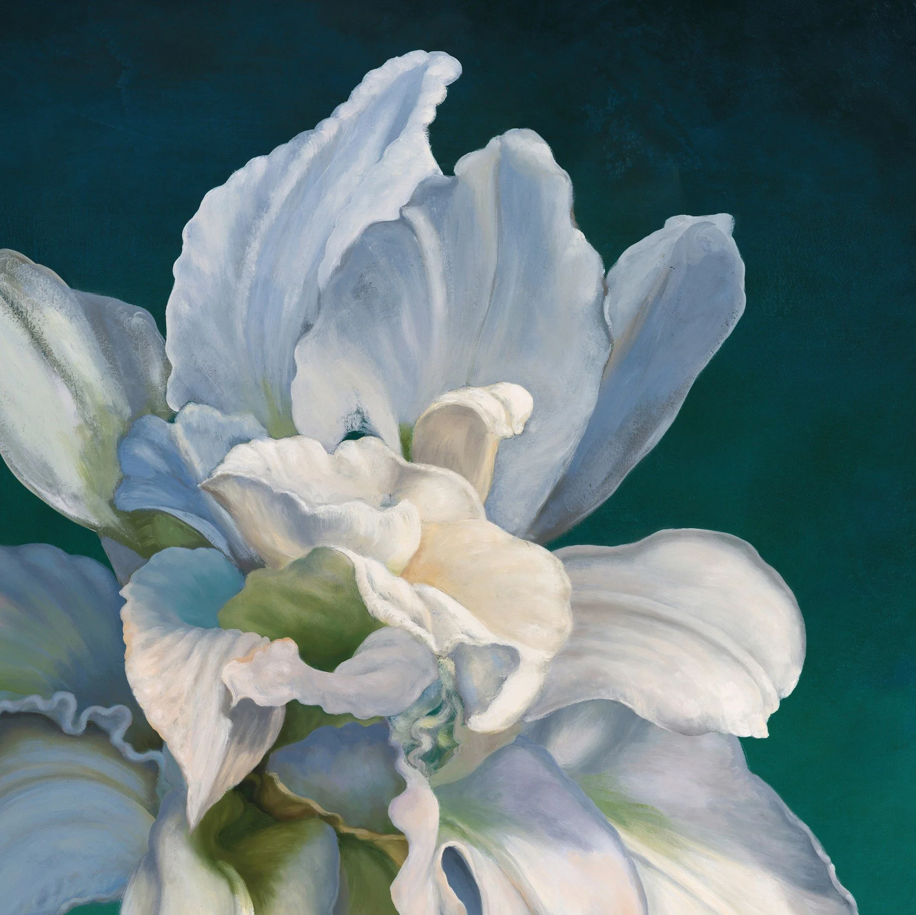 Double Lily / oil on canvas / 36"x48" - SOLD