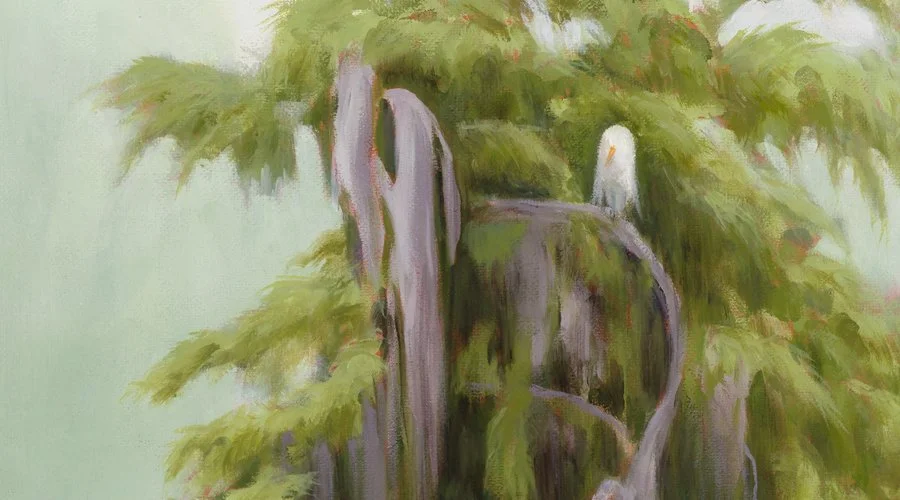 Bayou Bartholomew_bc3.jpg