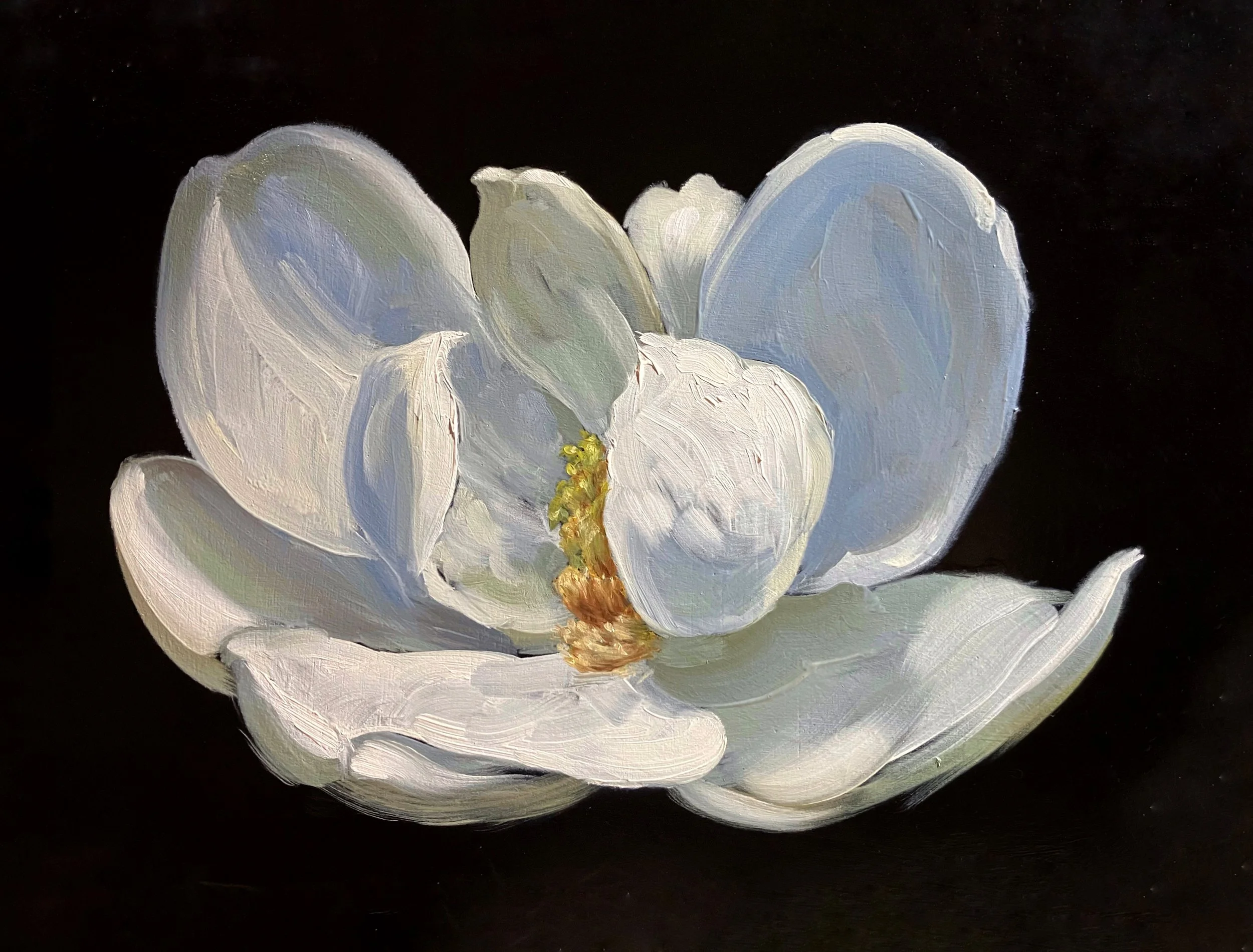 Magnolia_No9.JPG