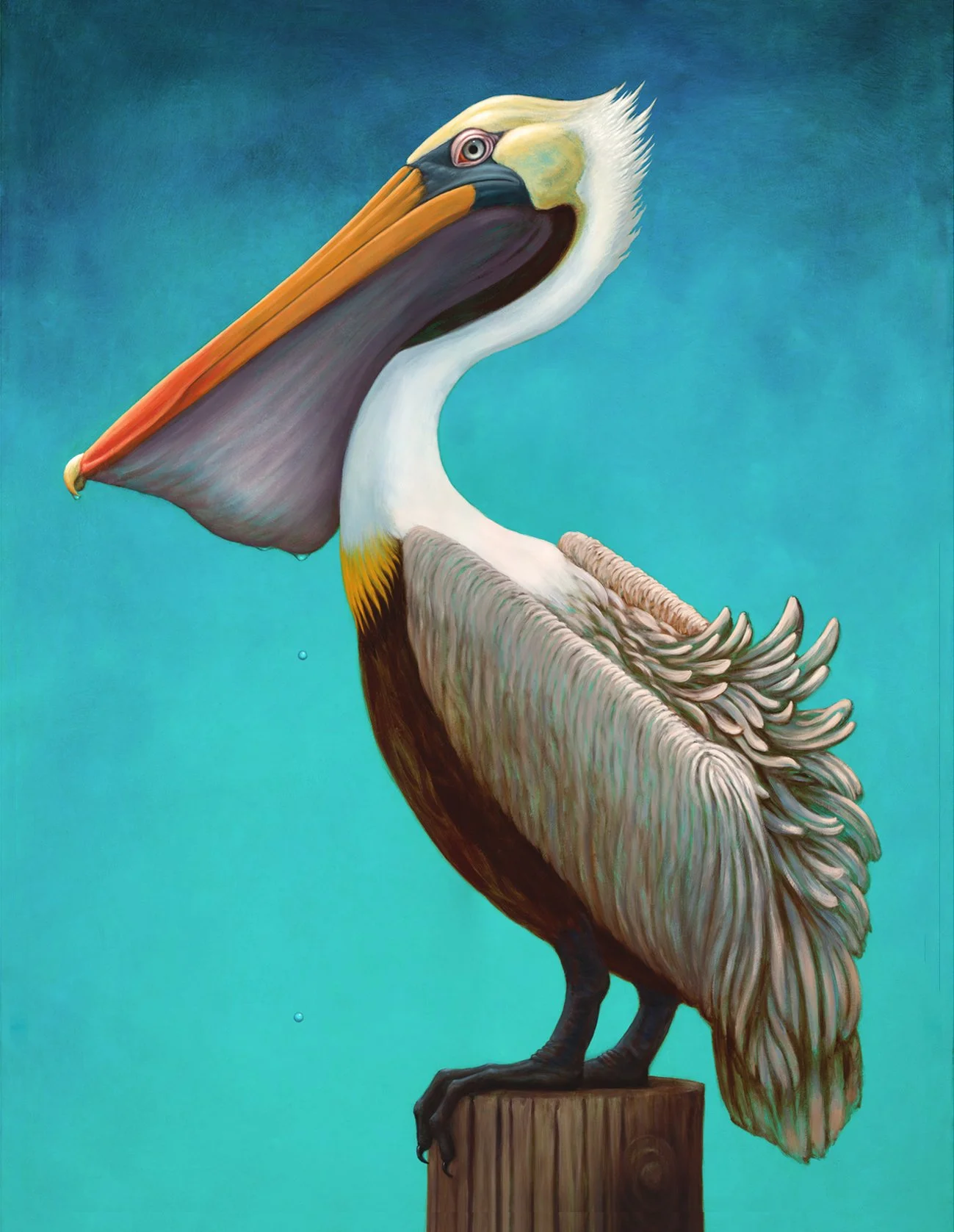 Catch of the Day / oil on canvas / 36"x48" -SOLD