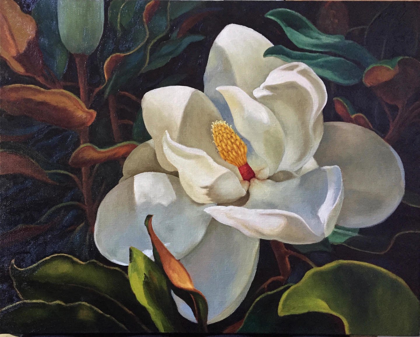 Magnolias