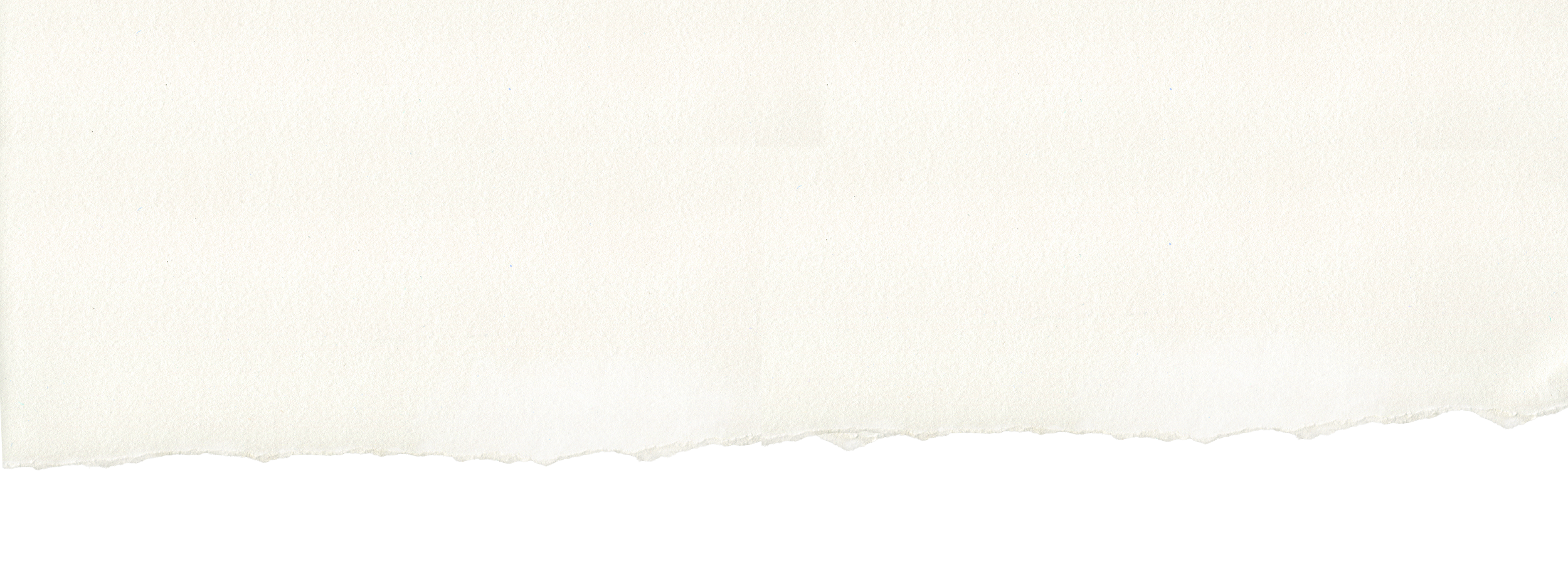 A blank torn piece of white paper with frayed edges