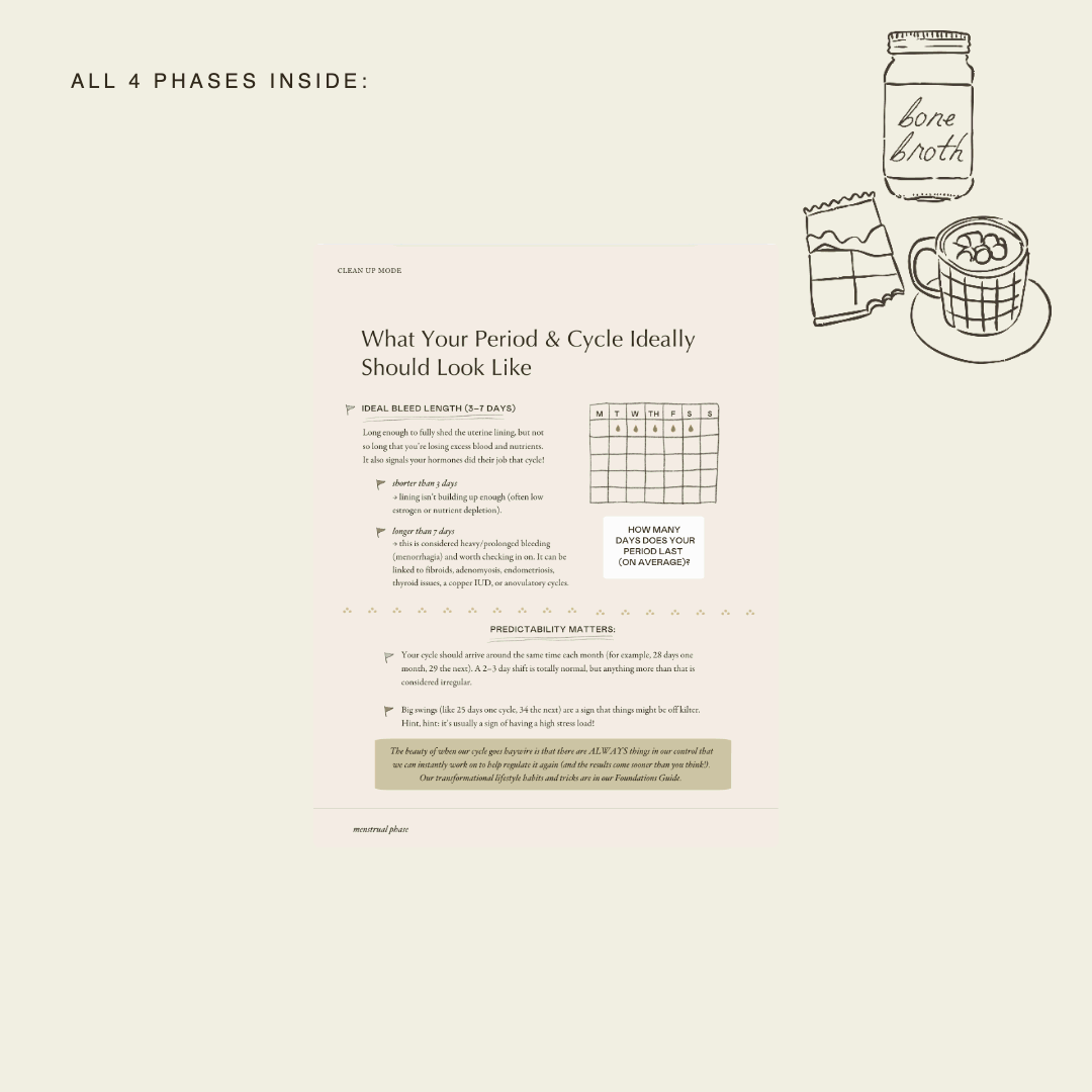 Cycle-Slide2-All-4-Phases-Illos.gif