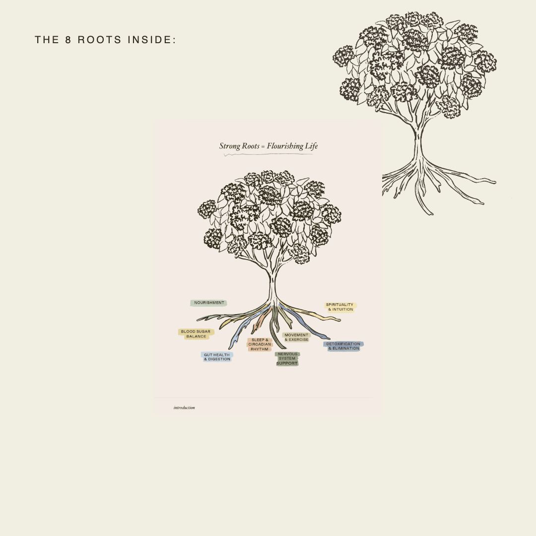 Foundations-Slide2-The-8-Roots-Tree.gif