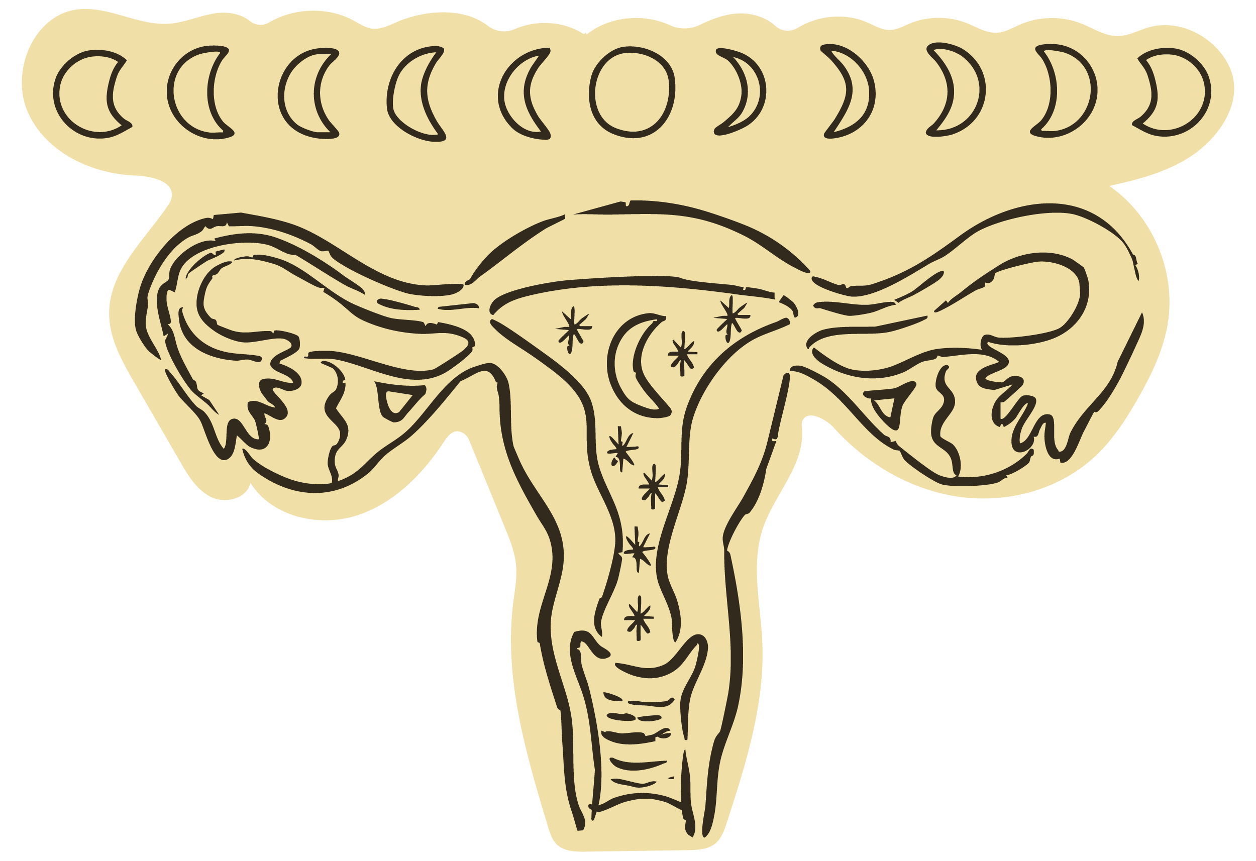 A stylized illustration of the female reproductive system with celestial symbols, including moons, stars, and a crescent moon inside the uterus.