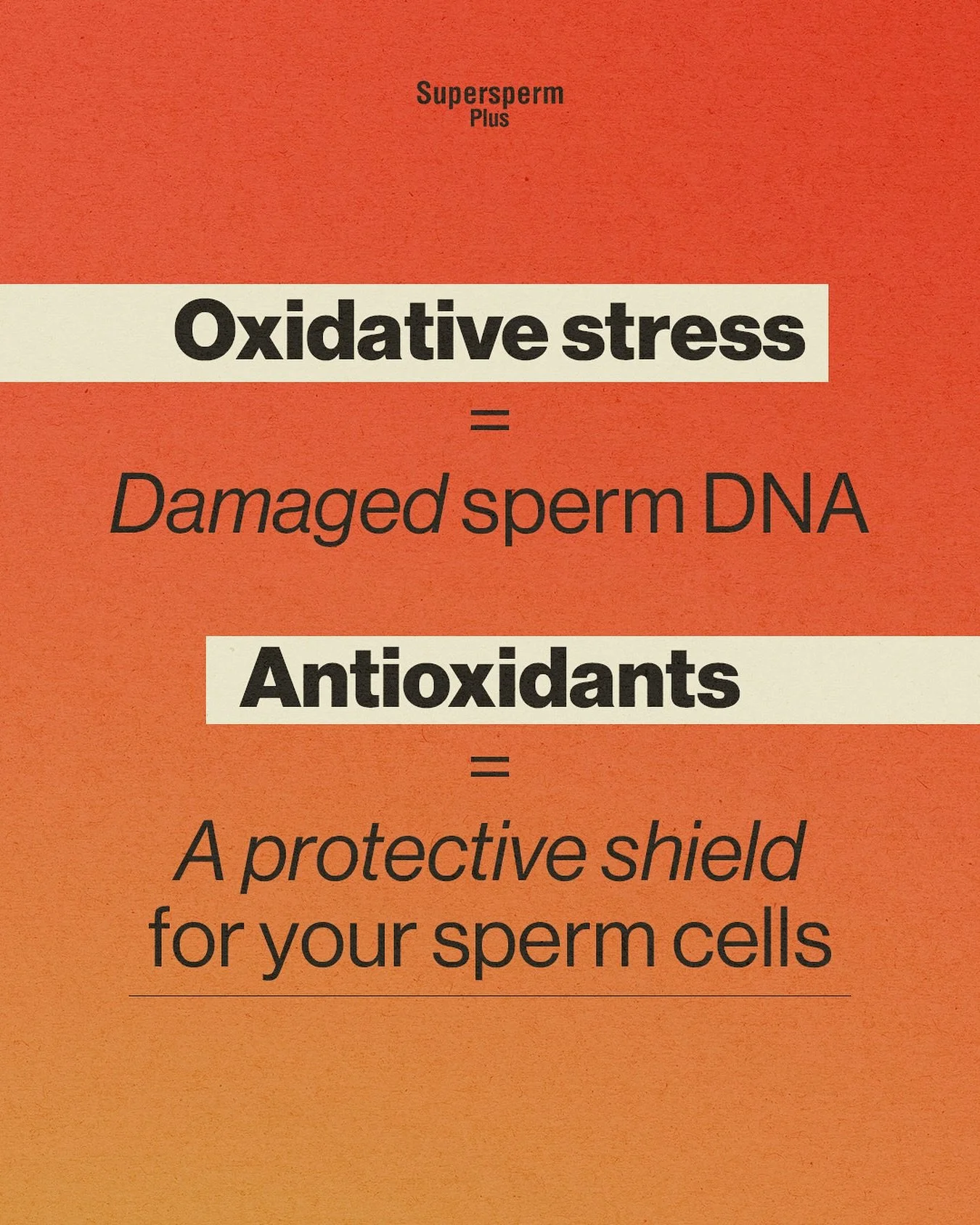 Oxidative stress damages your sperm DNA 🧬

The antioxidants in Supersperm Plus create a protective shield por your sperm cells 🛡️

#shield #sperm #usa #cells #antioxidants #plus #men #dna #protection #man #oxidative #stress