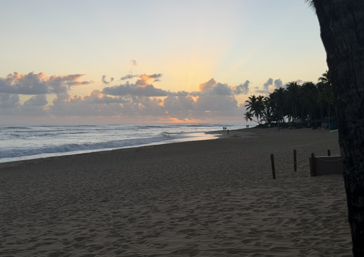 View recent photos 3.png