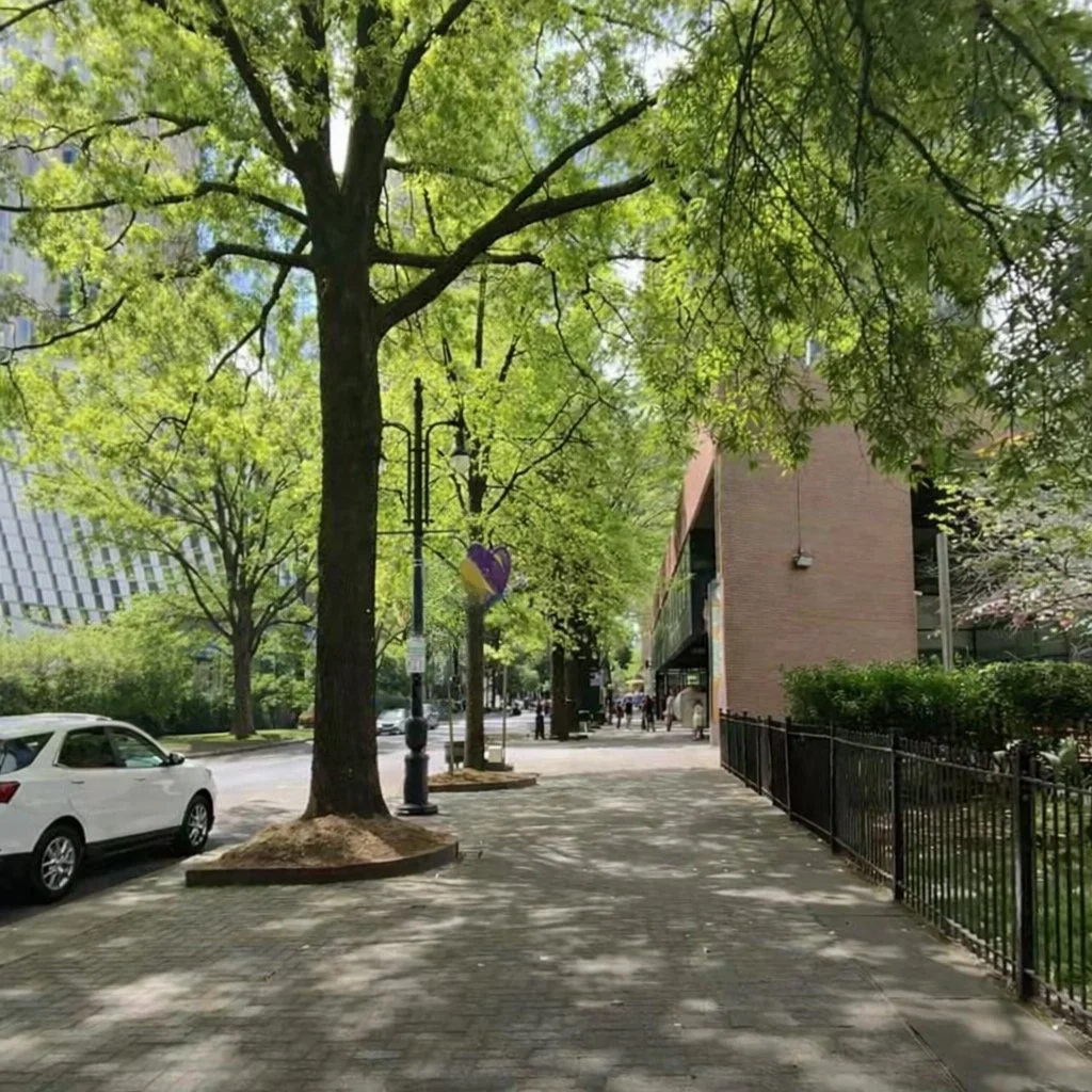 Alignment Isn’t a Vibe… It’s a Boundary