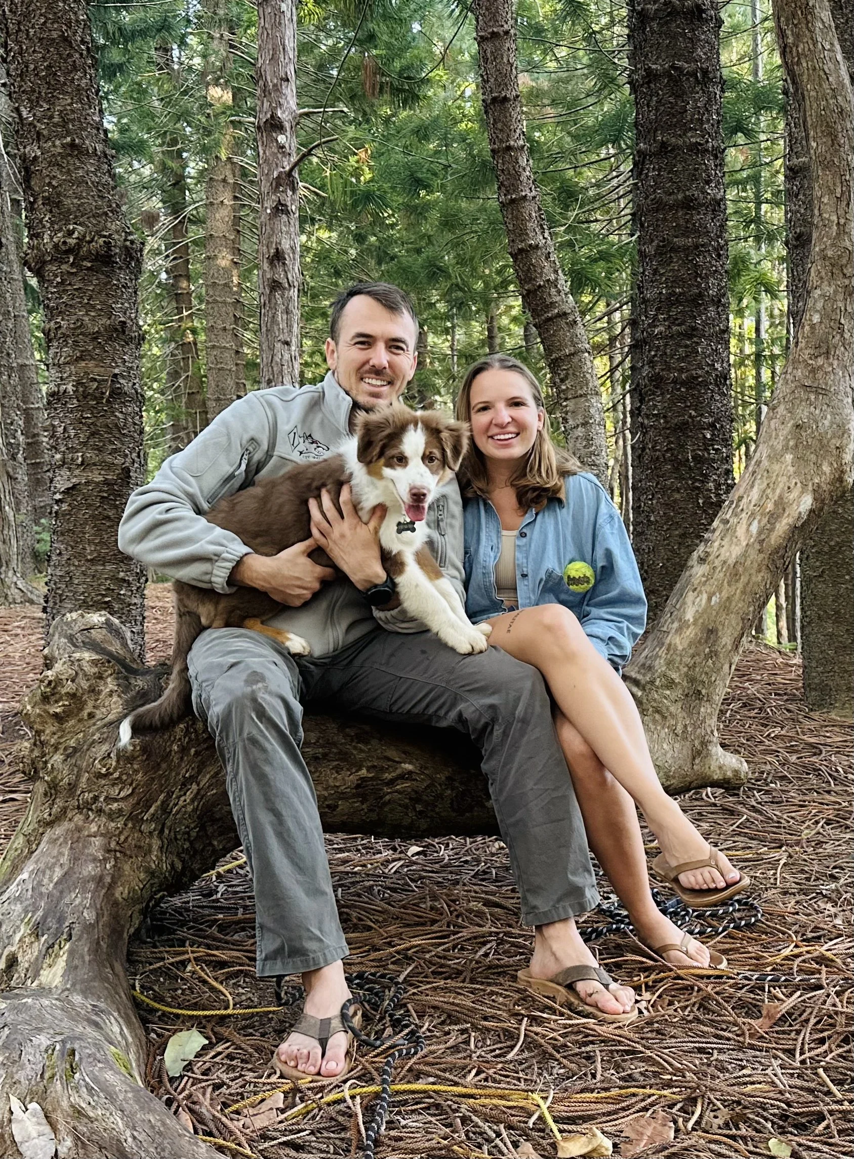 A smiling man and woman sitting on a fallen tree trunk in a forest, holding a brown and white Australian Shepherd puppy.