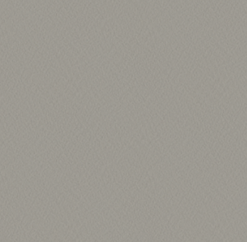Paint | Warm Nickel