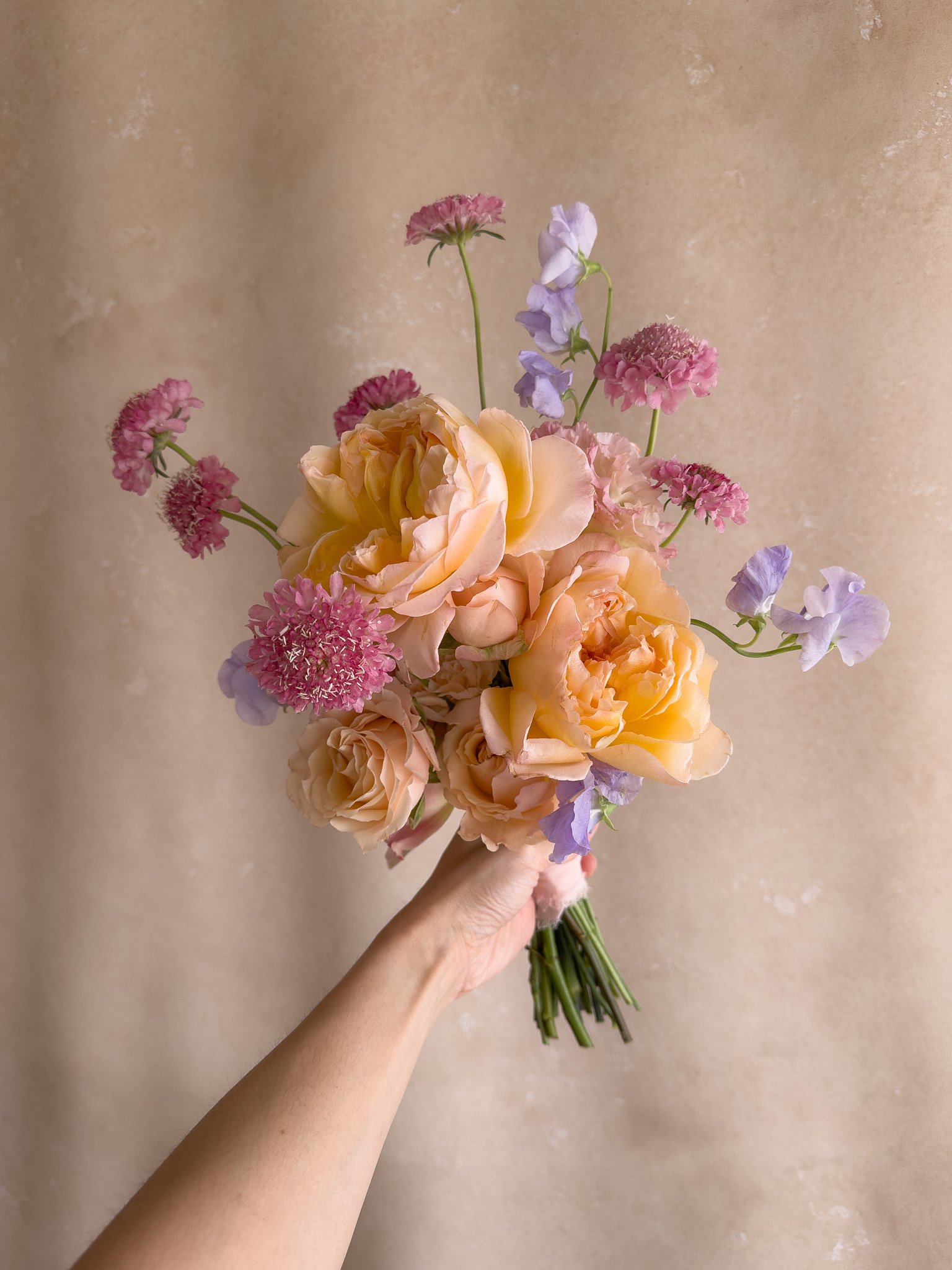 Photo Aug 28 2025, 4 29 58 PM.jpg