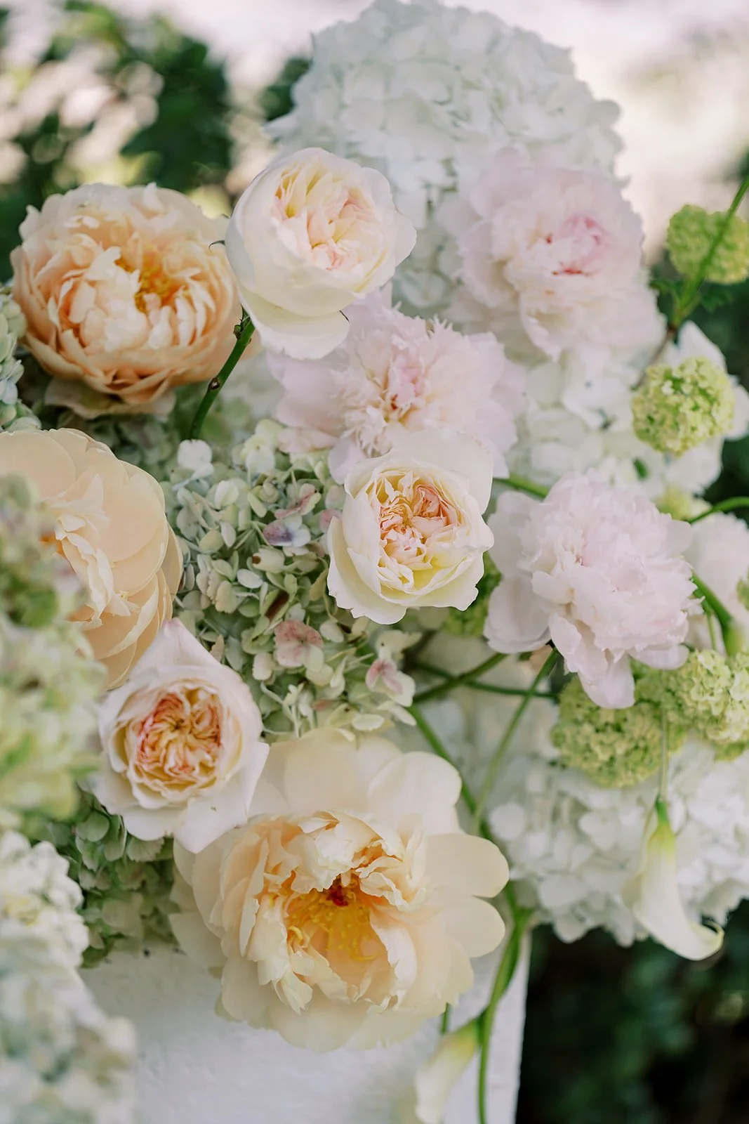 MeganWonPhotography-470.jpg