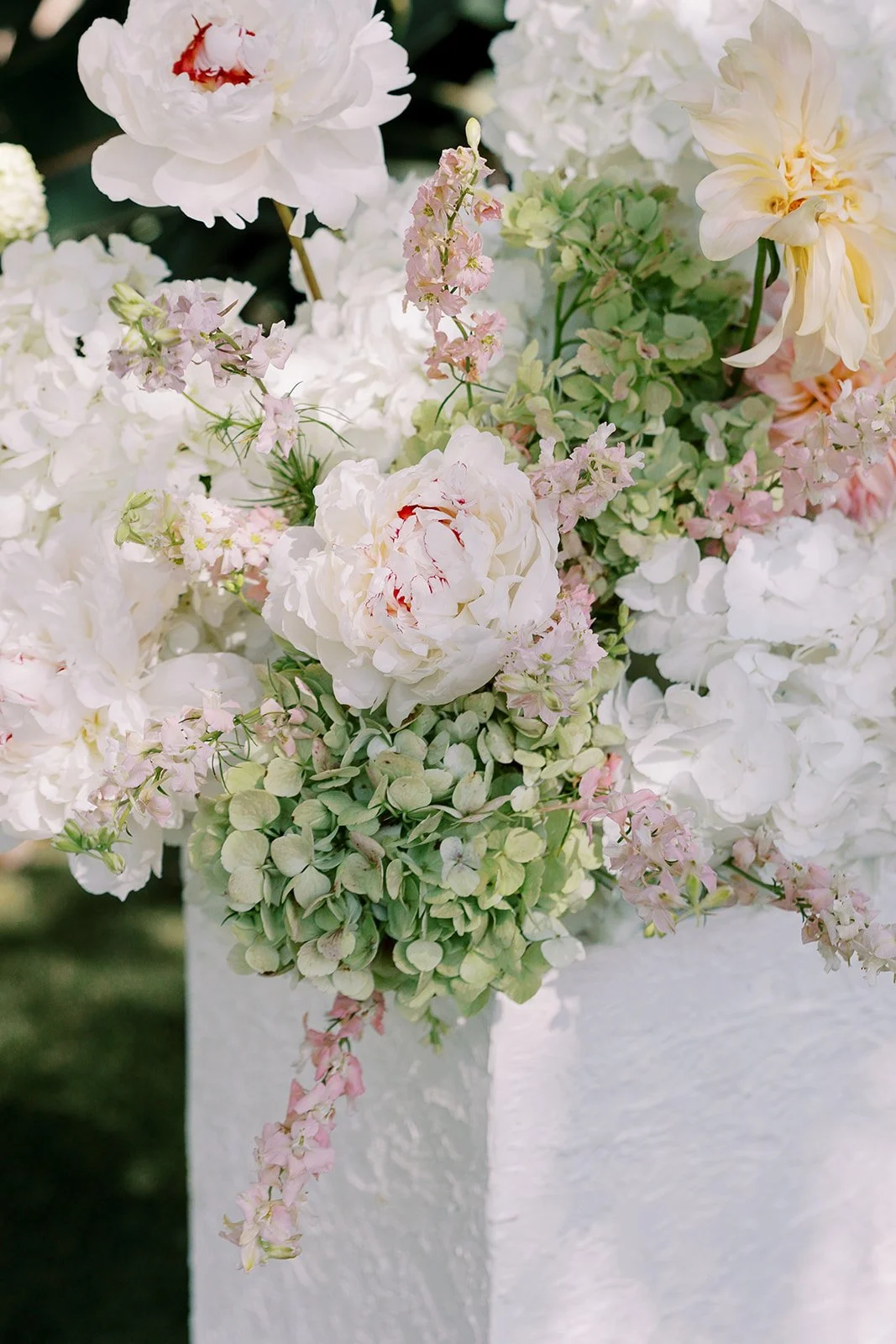 MeganWonPhotography-471.jpg