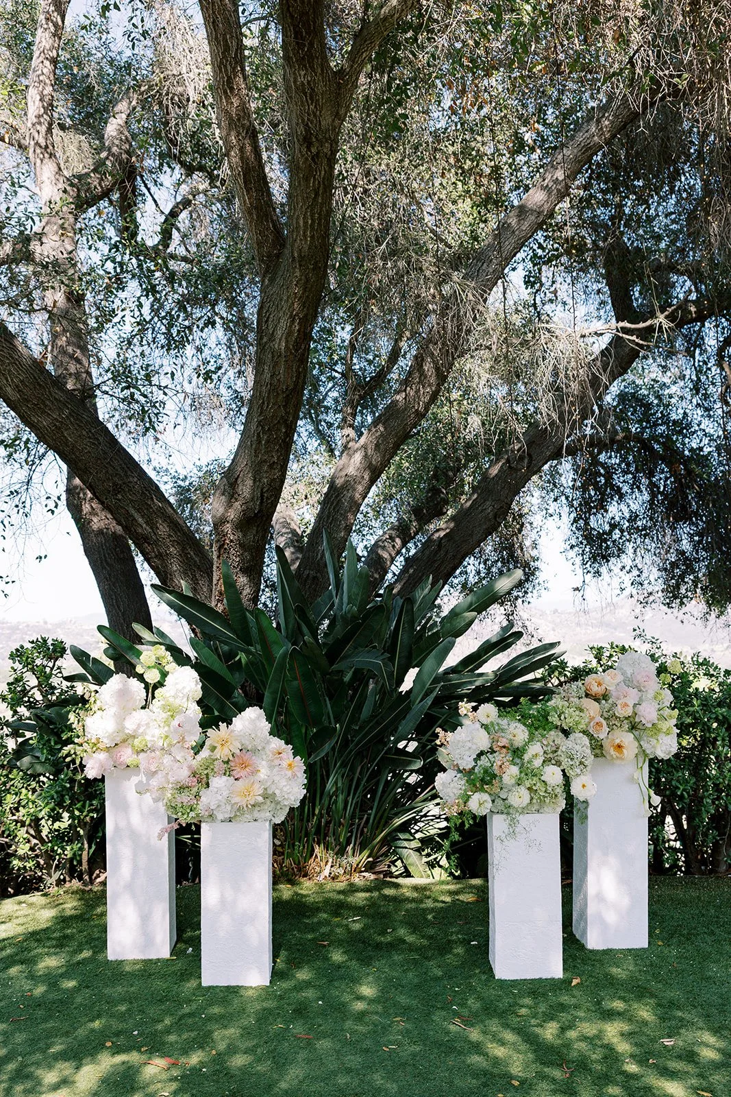 MeganWonPhotography-468.jpg