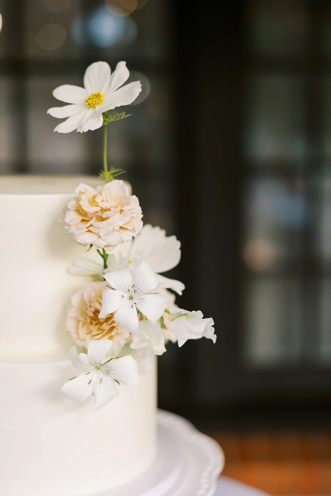 MeganWonPhotography-974.jpg