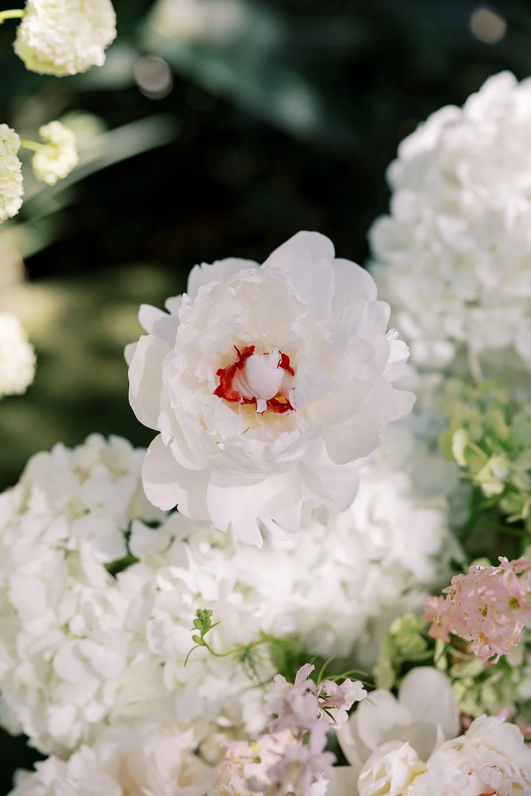 MeganWonPhotography-472.jpg