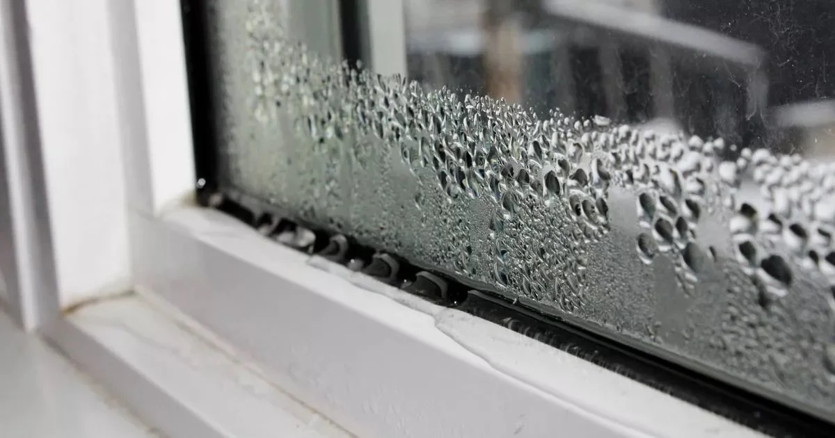 Close-up of a window with condensation and water droplets on the glass, with a blurry background.