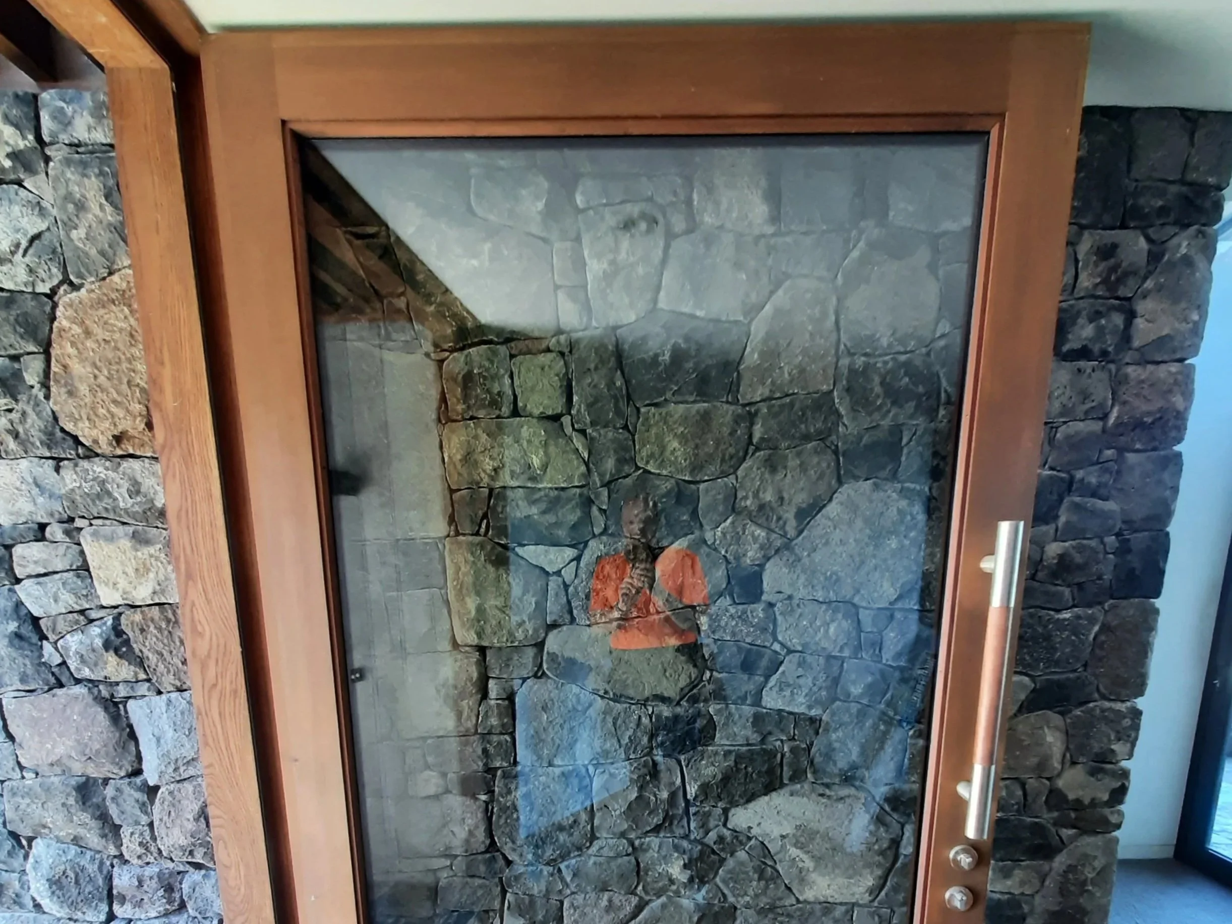 Glass display case with a wooden frame containing a large rock formation with moss and lichen.