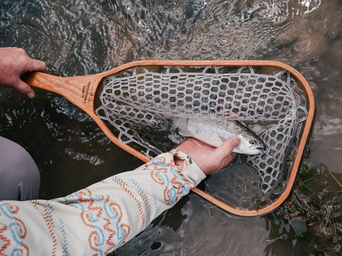 A person holding a fish in a fishing net over water.