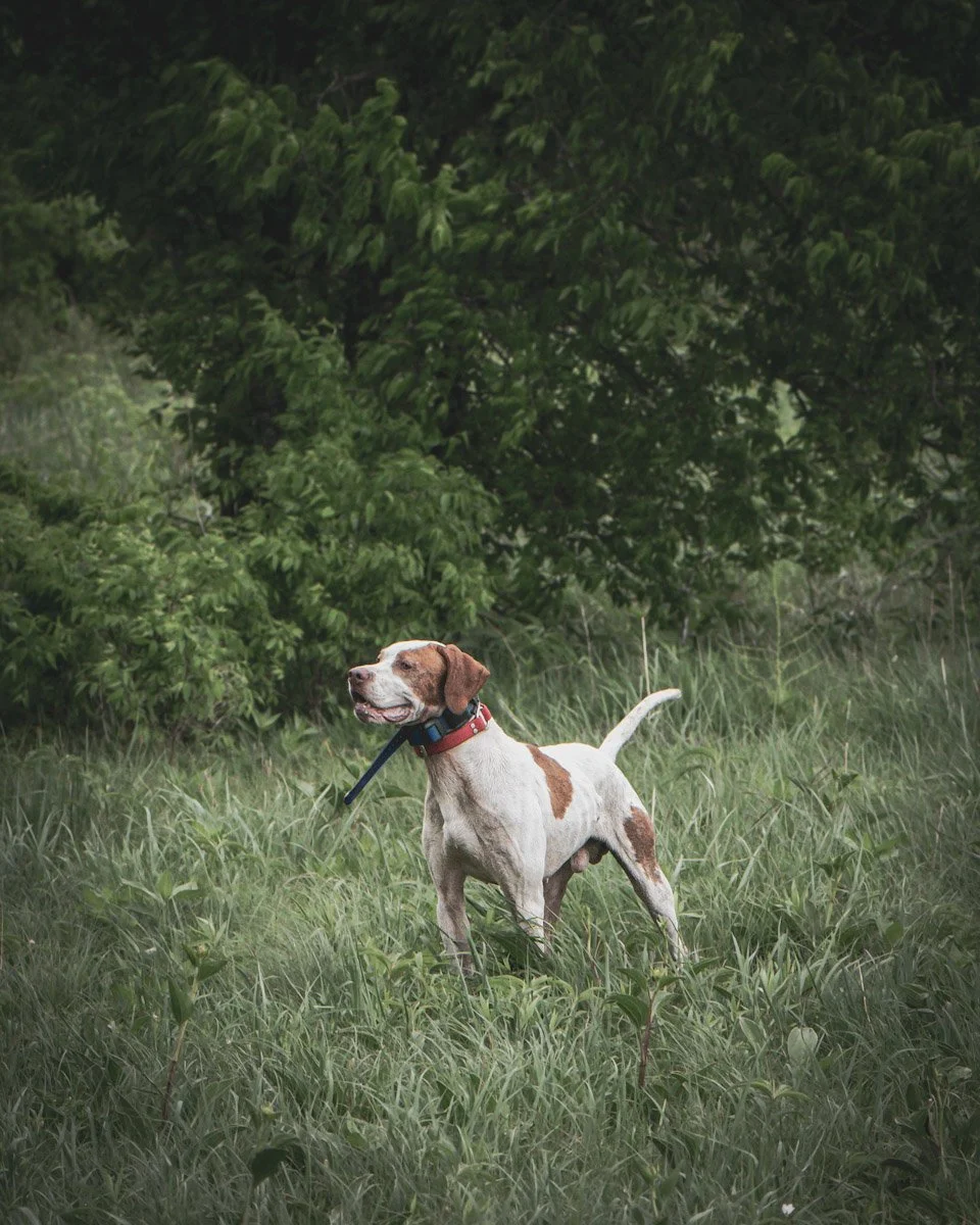 atlatl-media-photography-prairie-end-hunt-club-1.jpg
