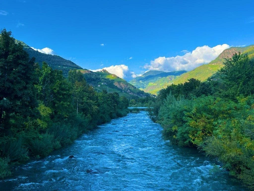 d22c008c-02df-421b-8b92-95145855b5b6.jpg