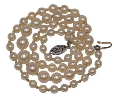 J-SMALL GRAD PEARL NECK - Copy - Copy Background Removed.jpeg