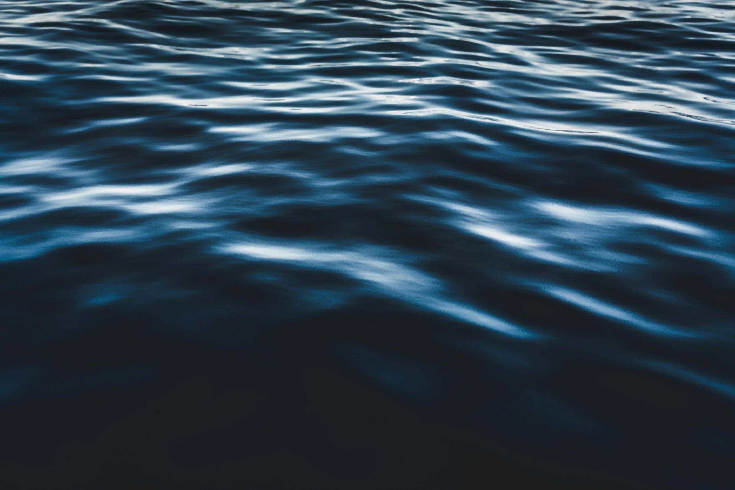 Closeup of a body of water.