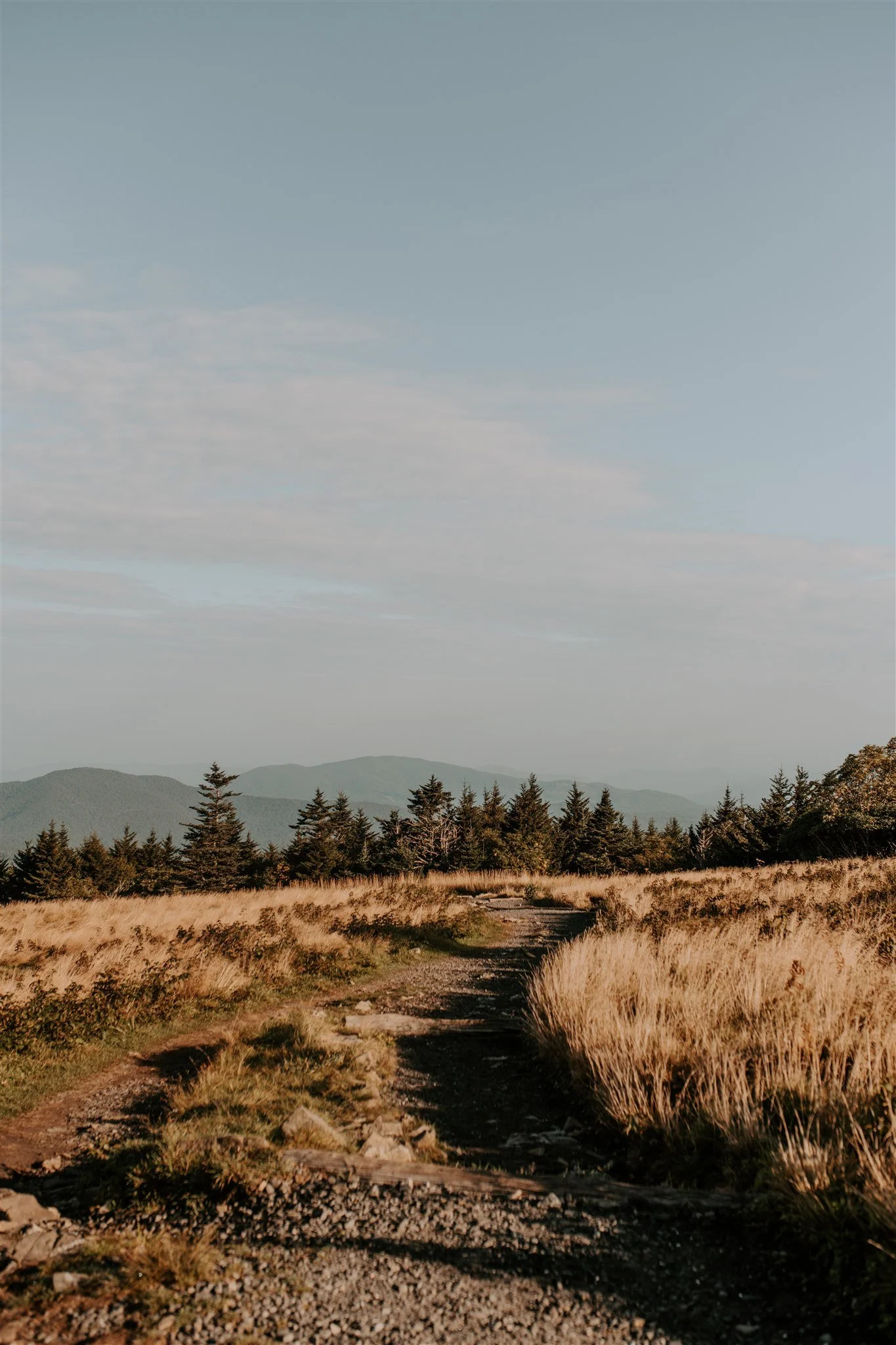 A gravel path leading through the mountains.
