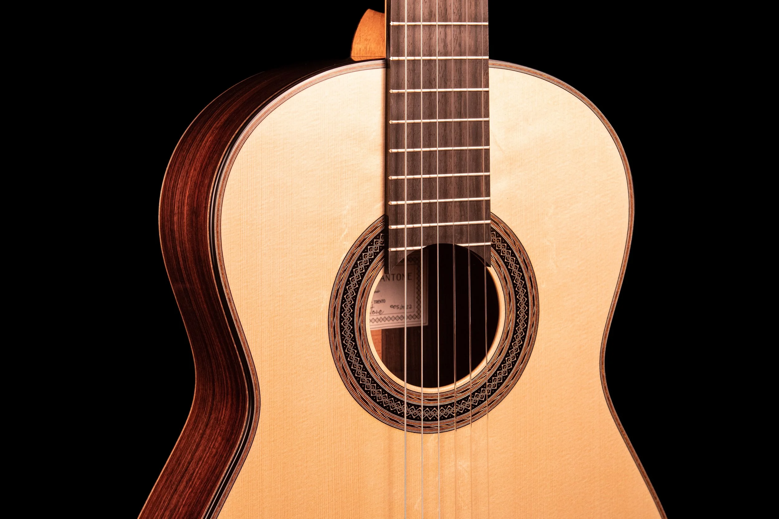 hauser guitar