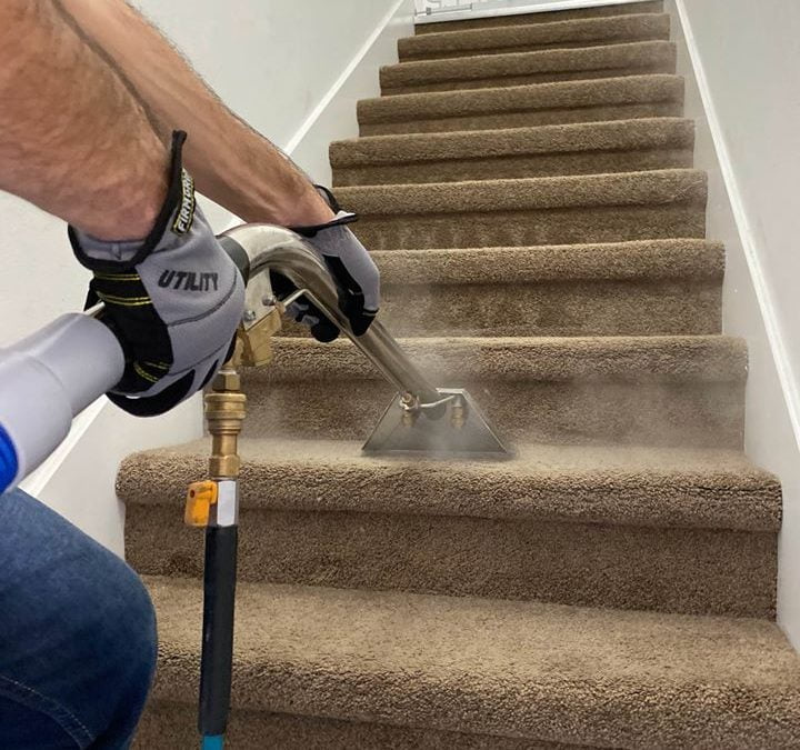Technician using a carpet extraction tool to clean carpeted stairs